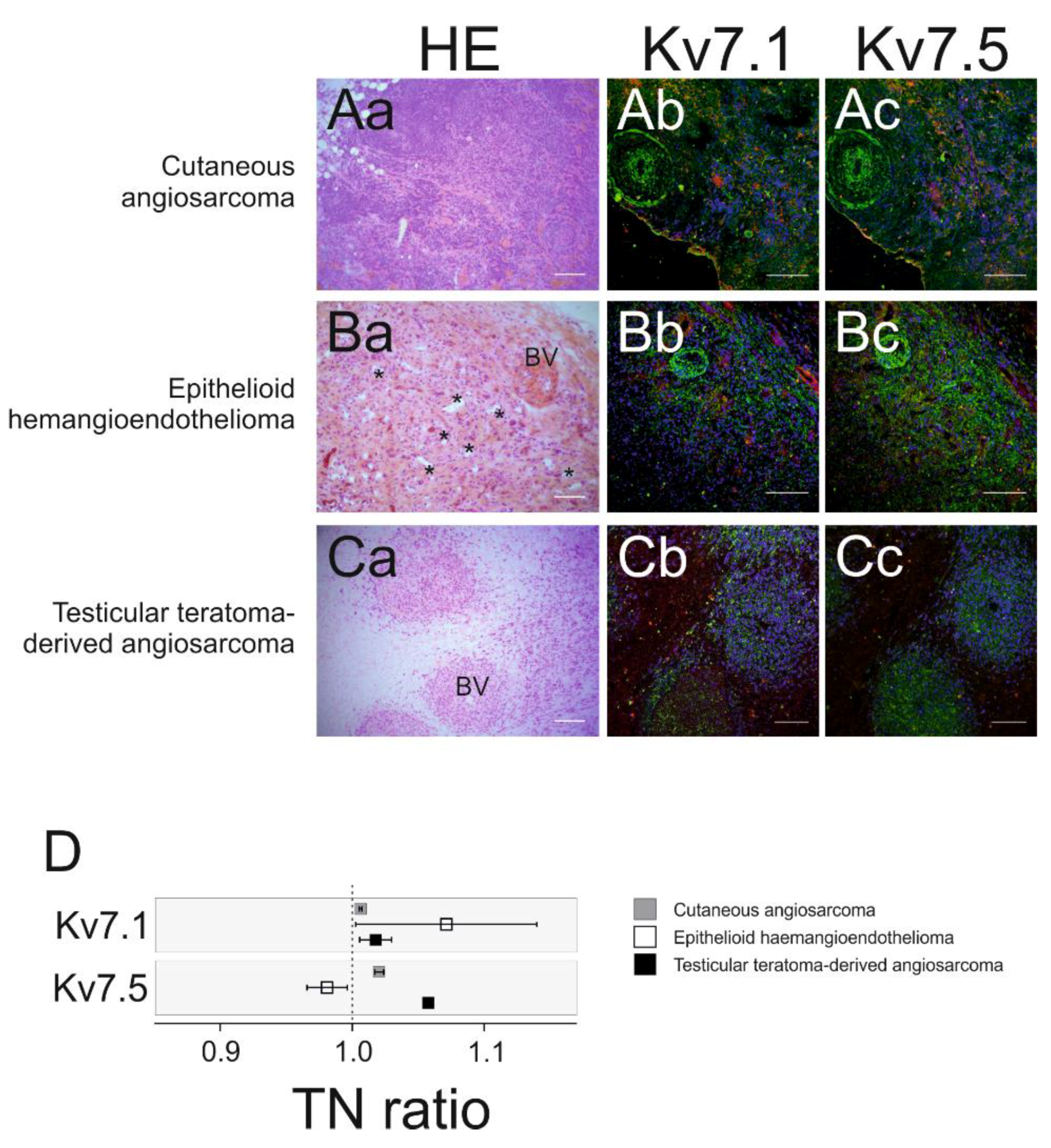 Ijms 21 06019 g004 Ijms 21 06019 g004