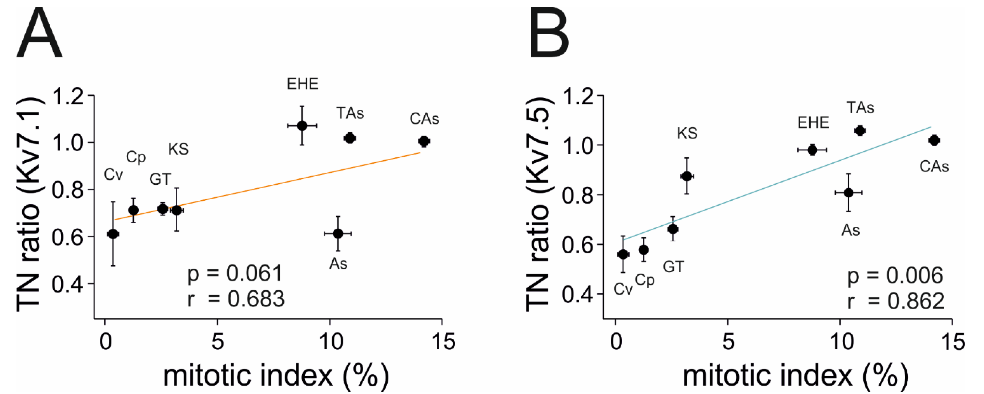 Ijms 21 06019 g006 Ijms 21 06019 g006
