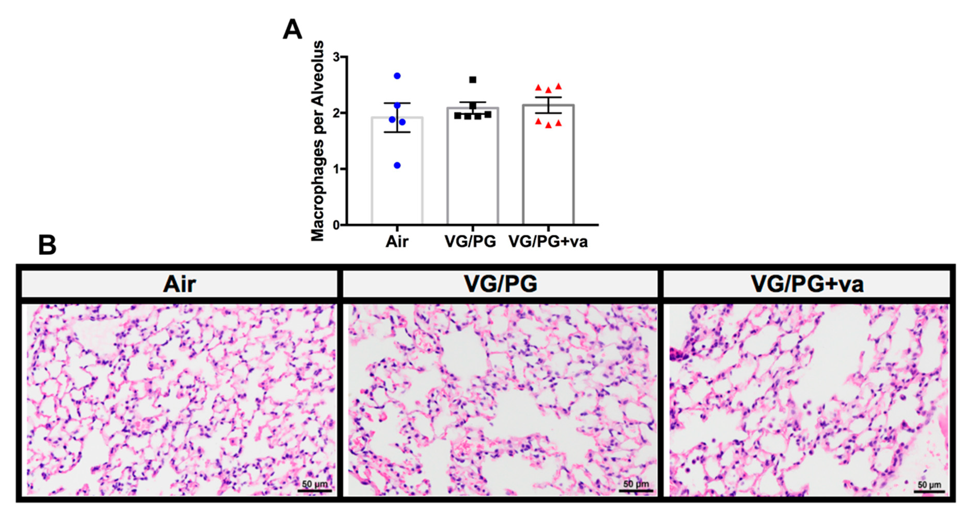 Ijms 21 06022 g002 Ijms 21 06022 g002