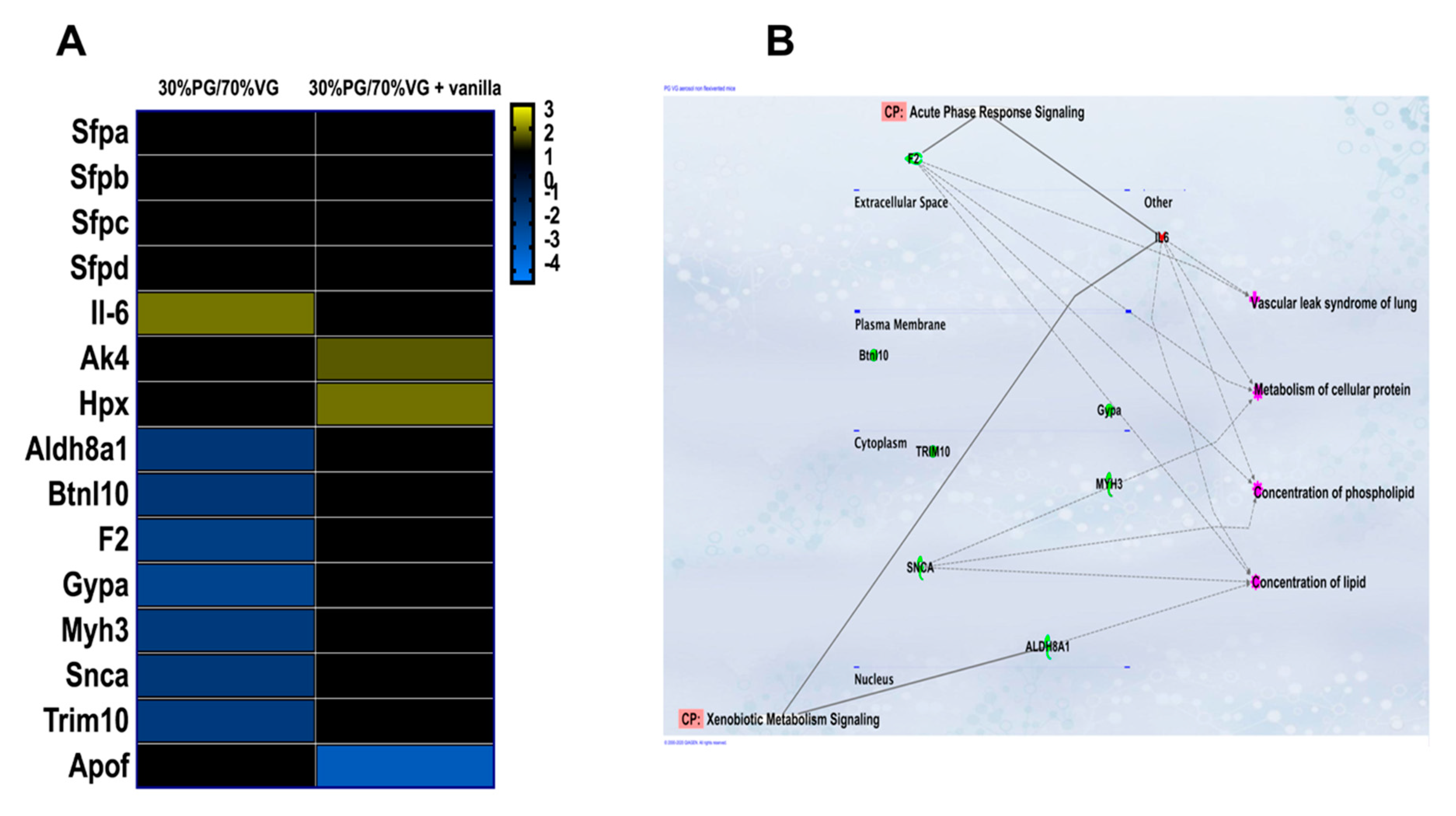 Ijms 21 06022 g005 Ijms 21 06022 g005