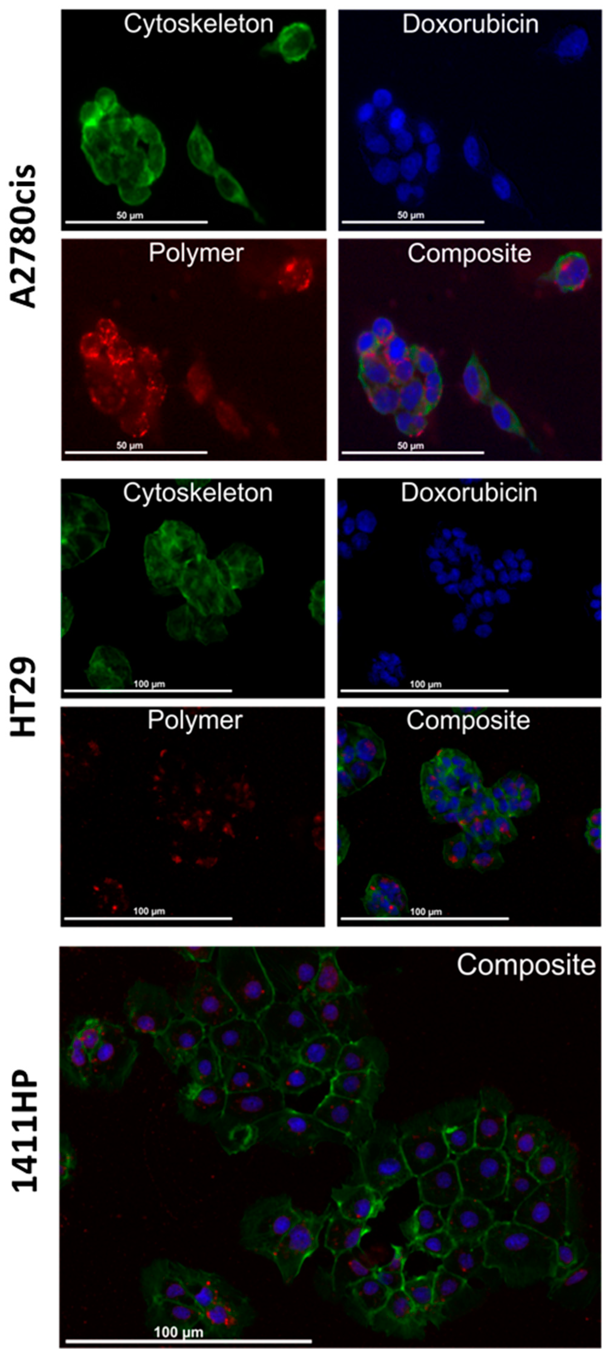 Ijms 21 06029 g004 Ijms 21 06029 g004