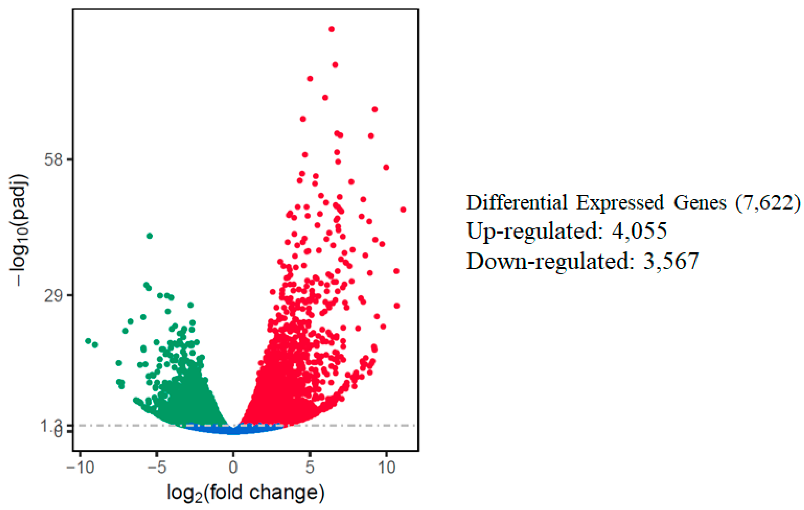 Ijms 21 06036 g003 Ijms 21 06036 g003