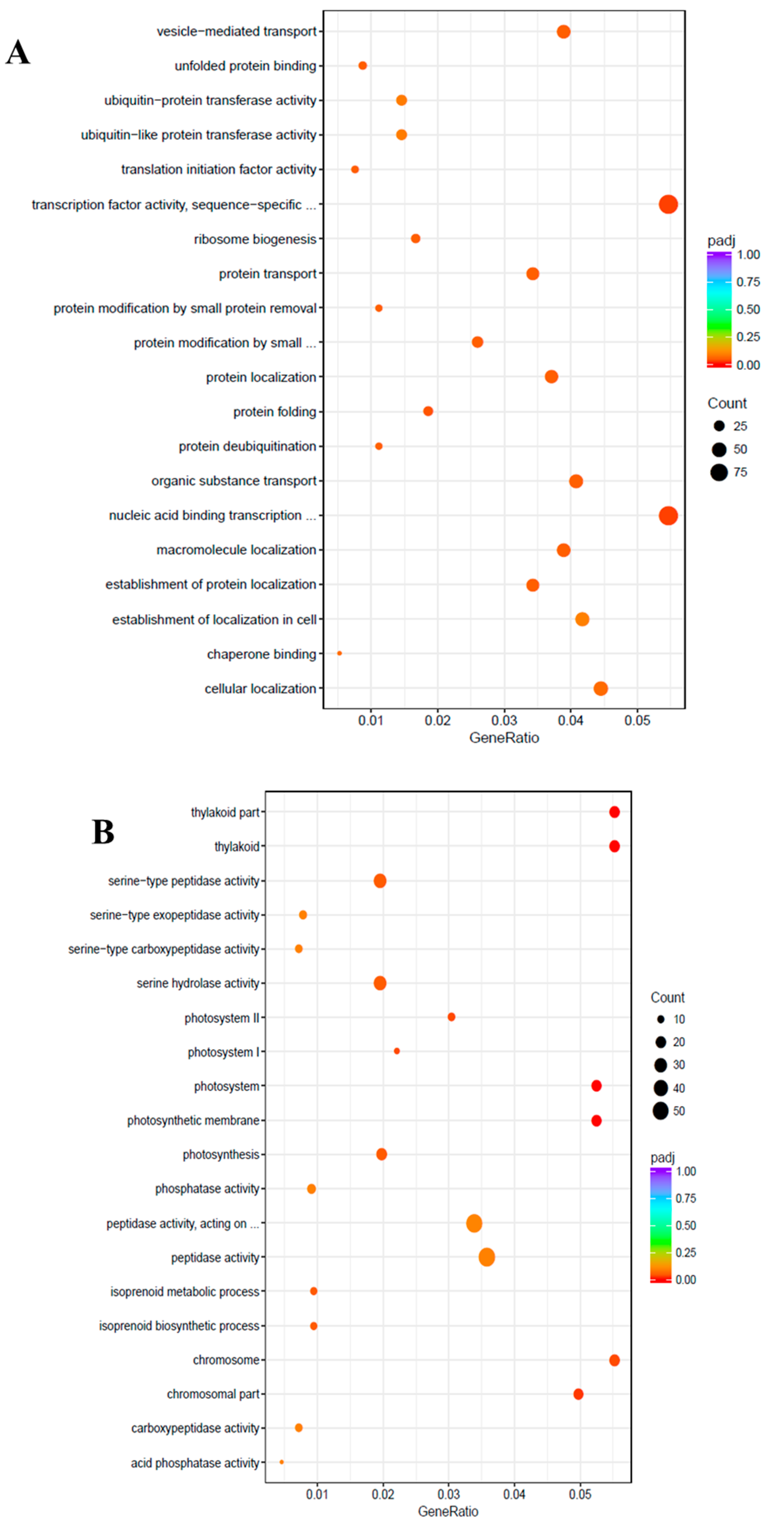 Ijms 21 06036 g004 Ijms 21 06036 g004