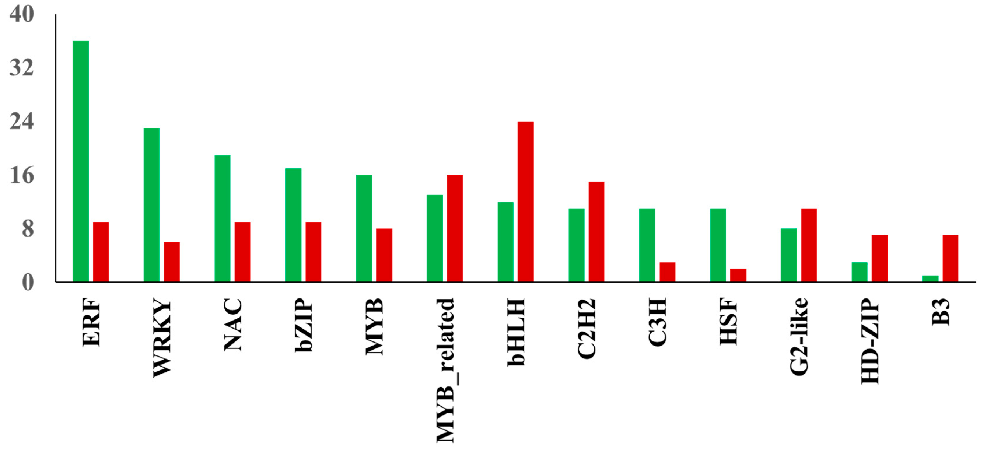 Ijms 21 06036 g006 Ijms 21 06036 g006