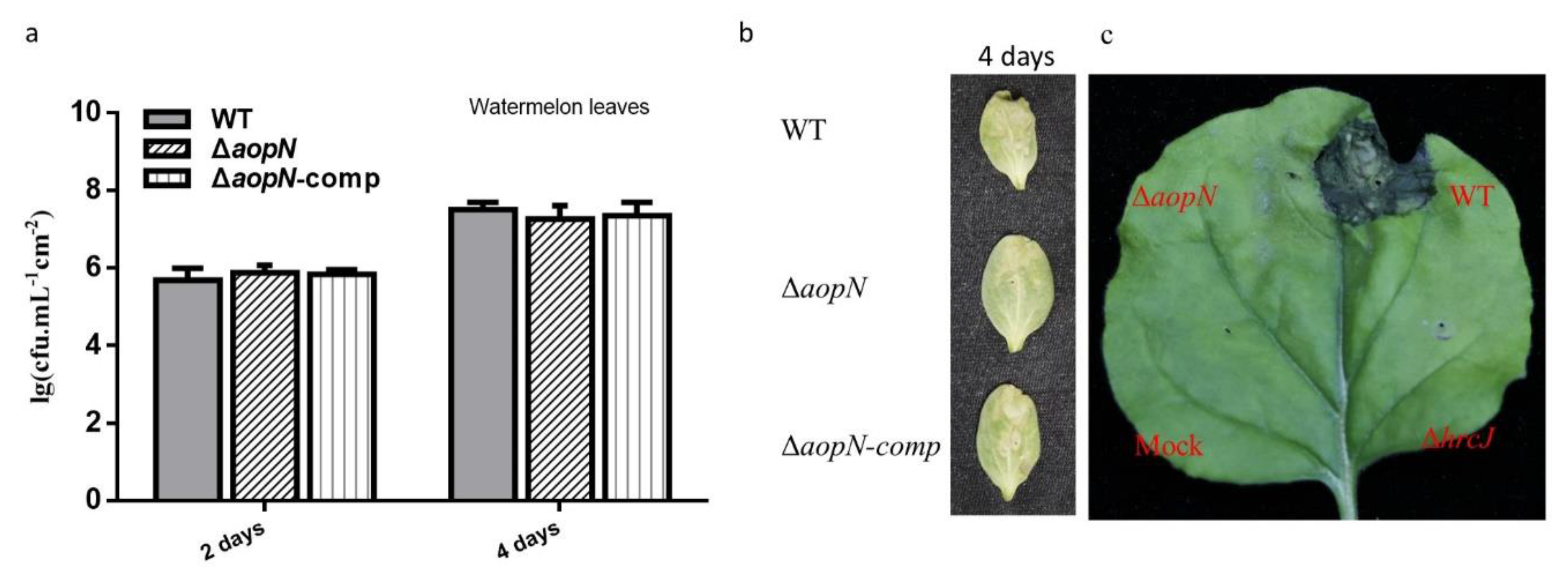 Ijms 21 06050 g003 Ijms 21 06050 g003