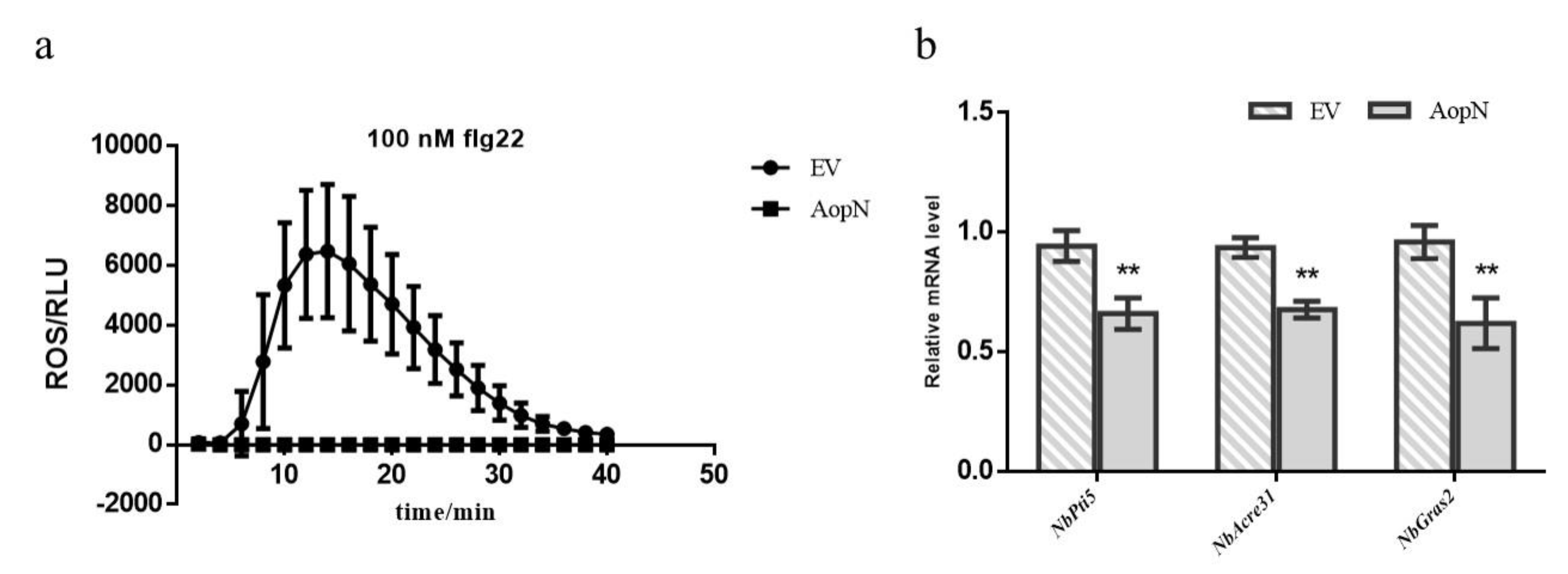 Ijms 21 06050 g006 Ijms 21 06050 g006