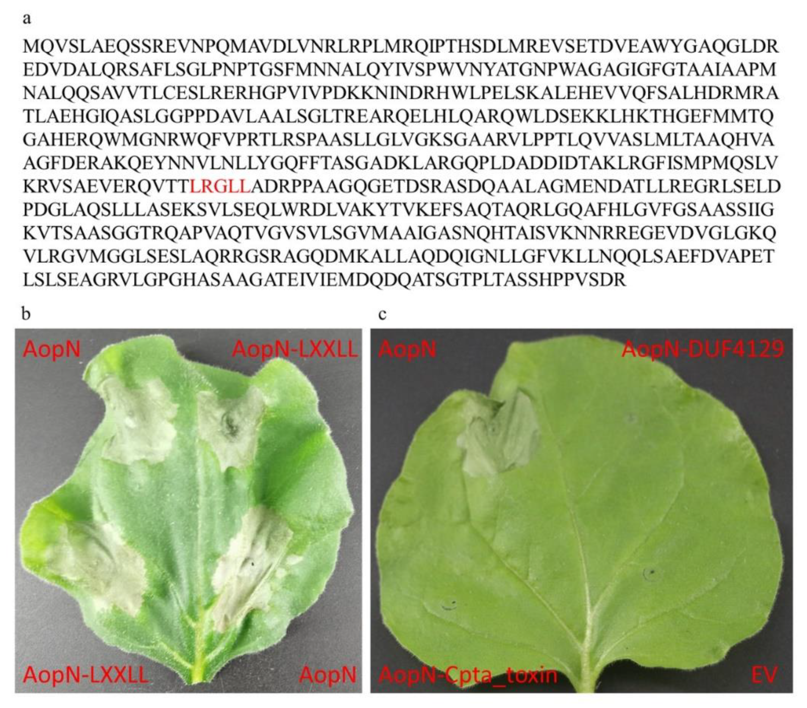 Ijms 21 06050 g007 Ijms 21 06050 g007