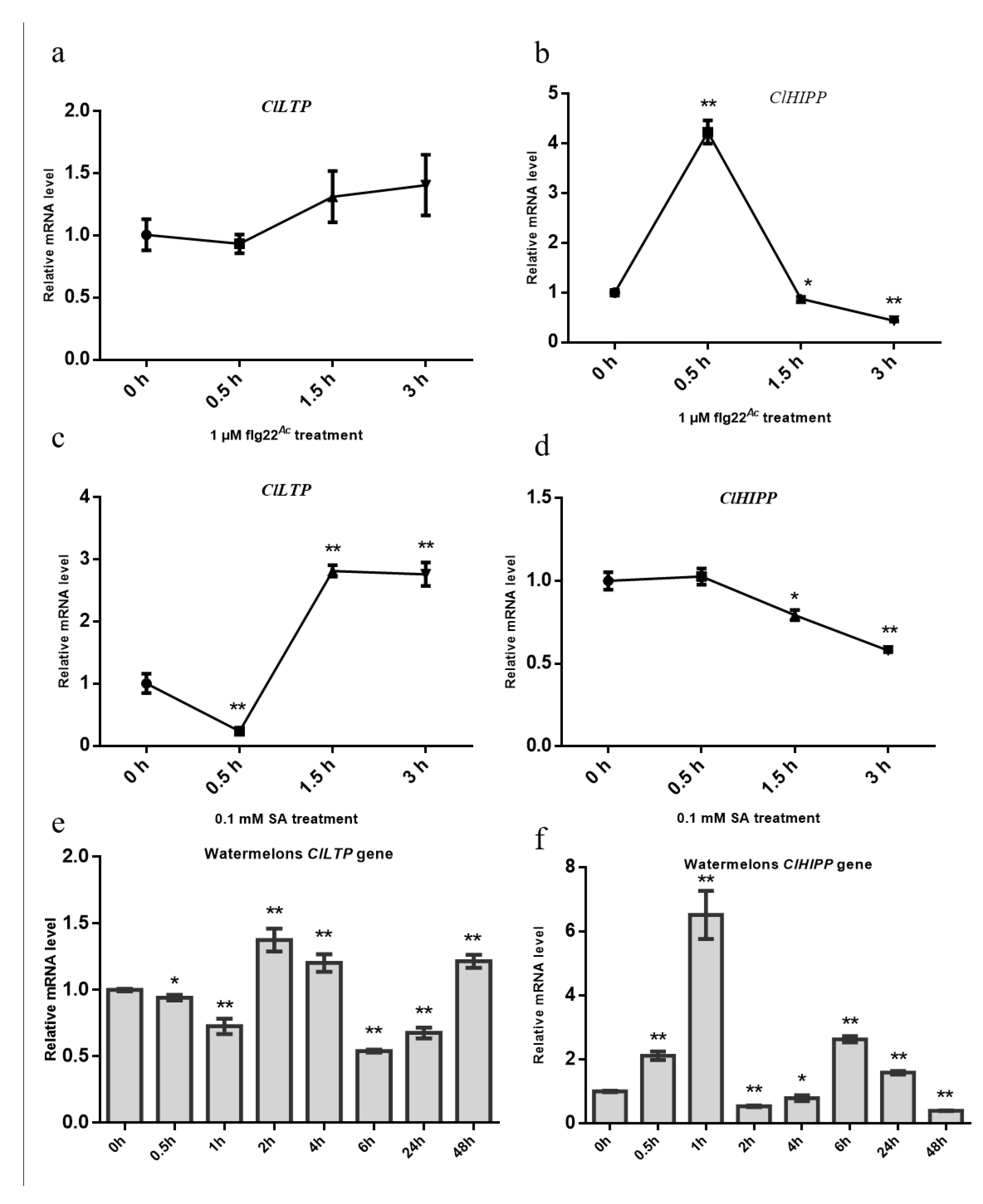 Ijms 21 06050 g009 Ijms 21 06050 g009
