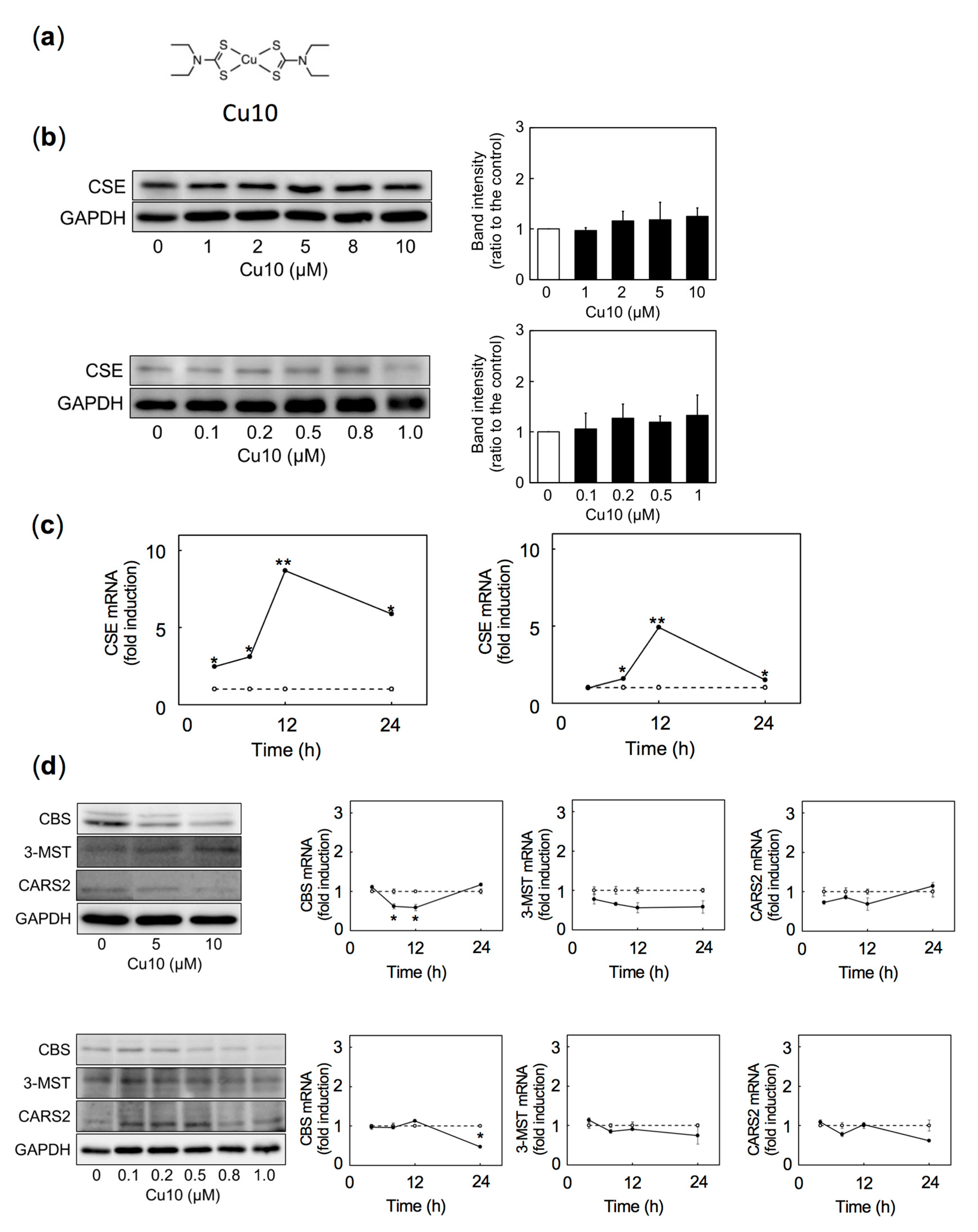 Ijms 21 06053 g001 Ijms 21 06053 g001