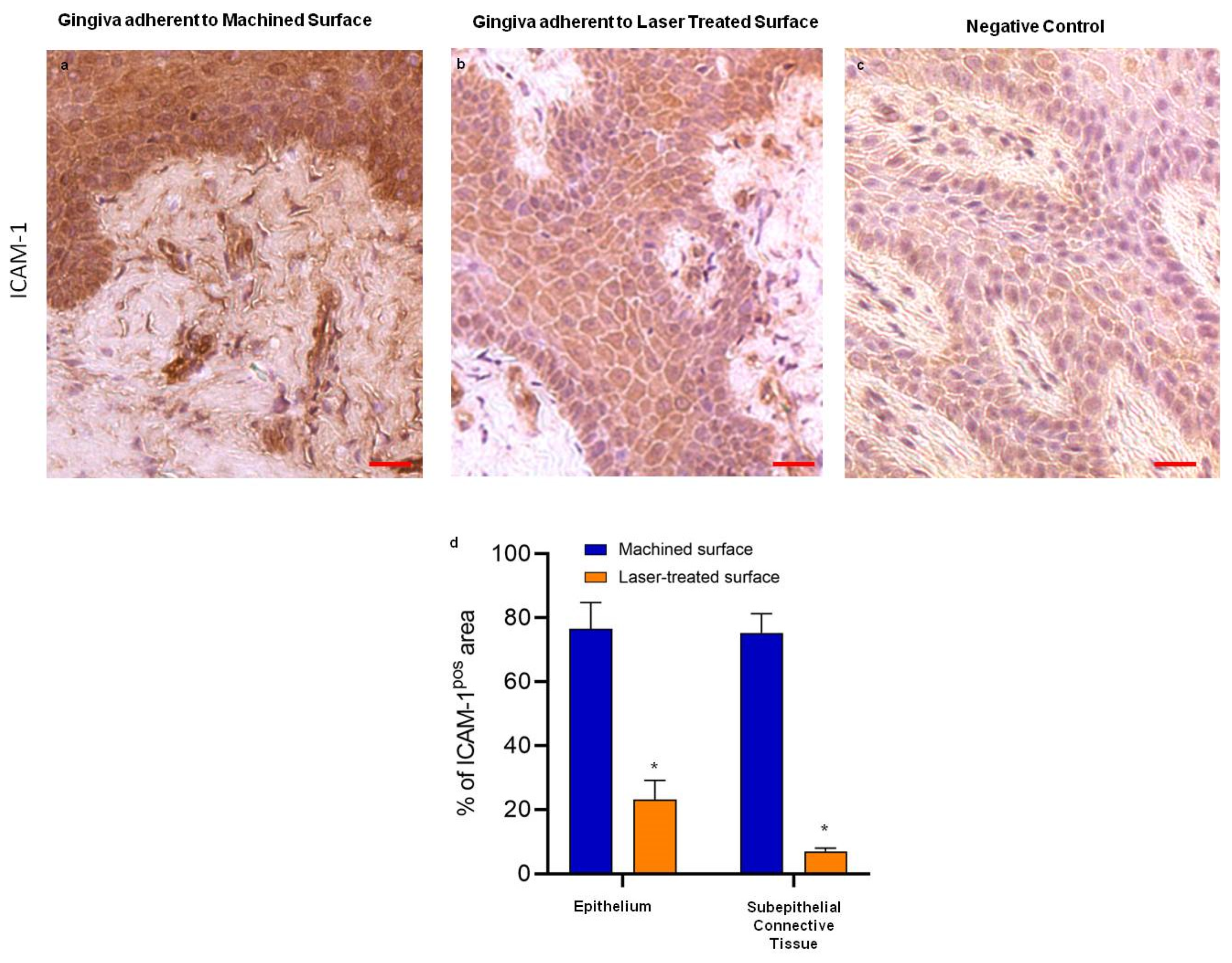 Ijms 21 06056 g004 Ijms 21 06056 g004