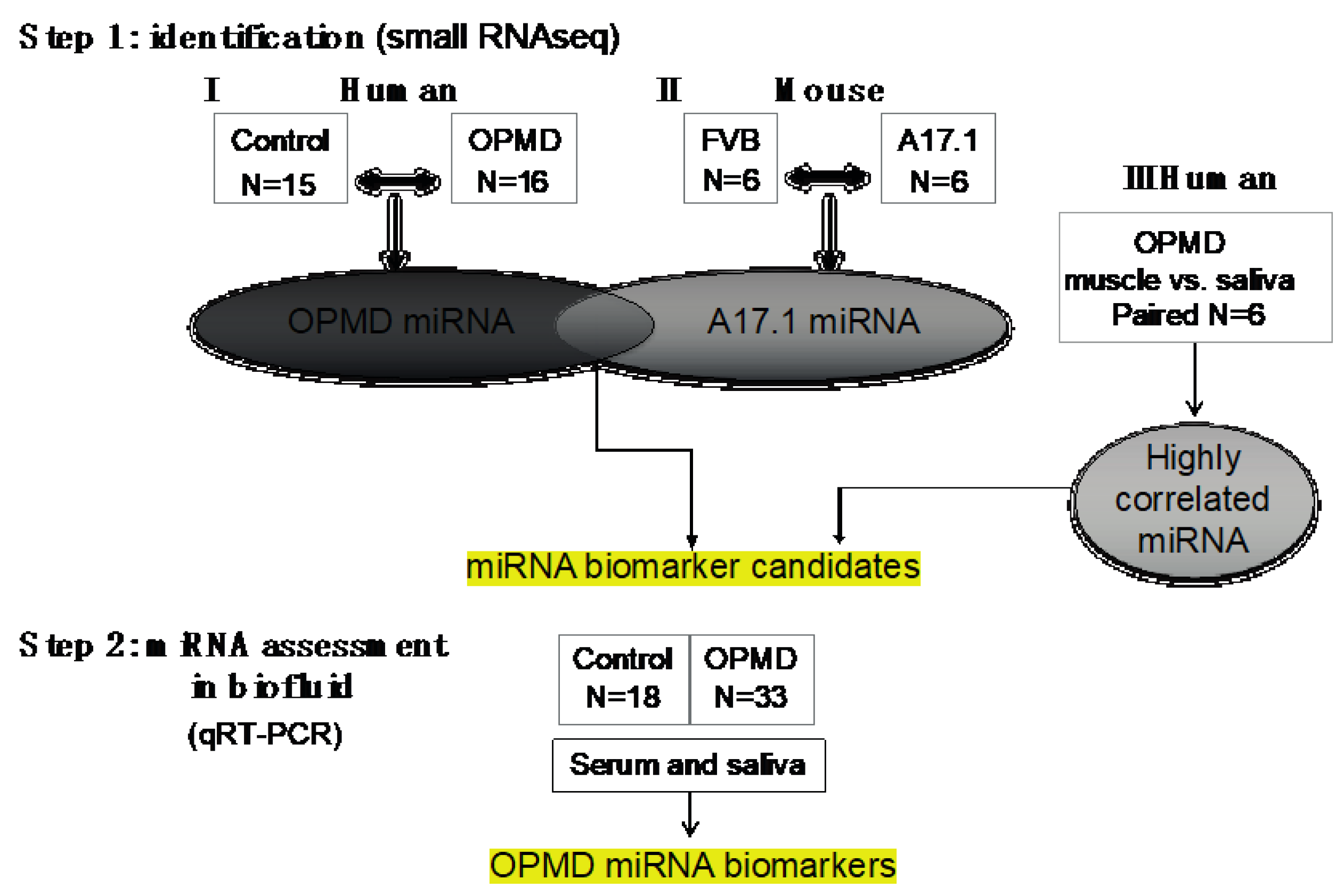 Ijms 21 06059 g001 Ijms 21 06059 g001