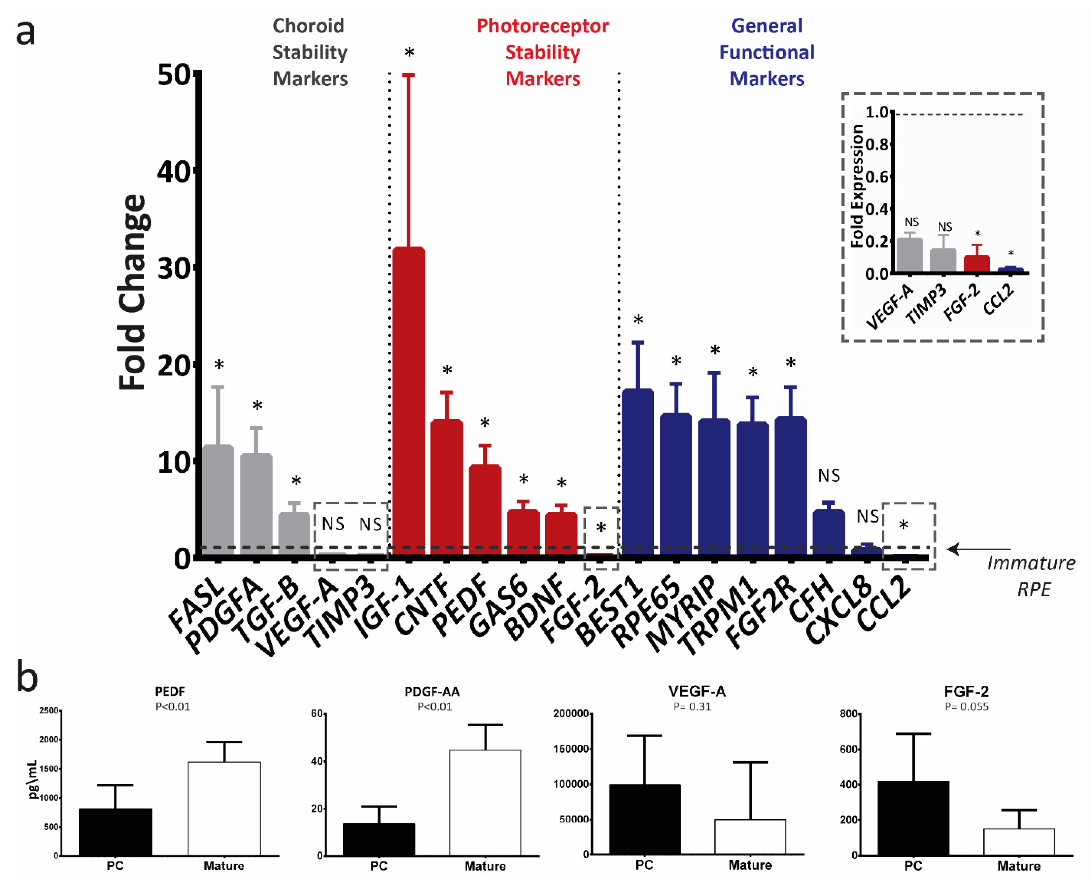 Ijms 21 06066 g003 Ijms 21 06066 g003
