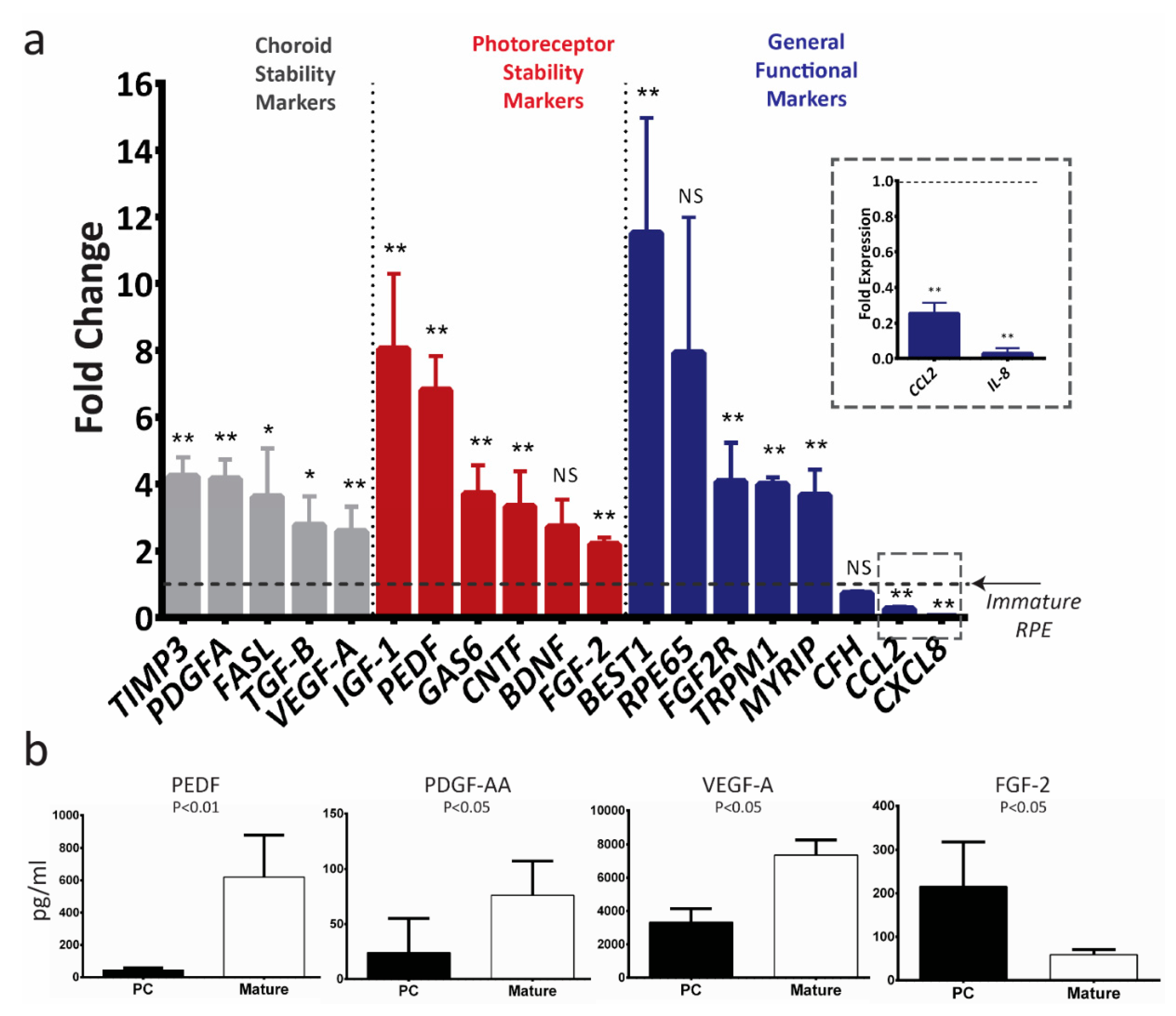 Ijms 21 06066 g004 Ijms 21 06066 g004