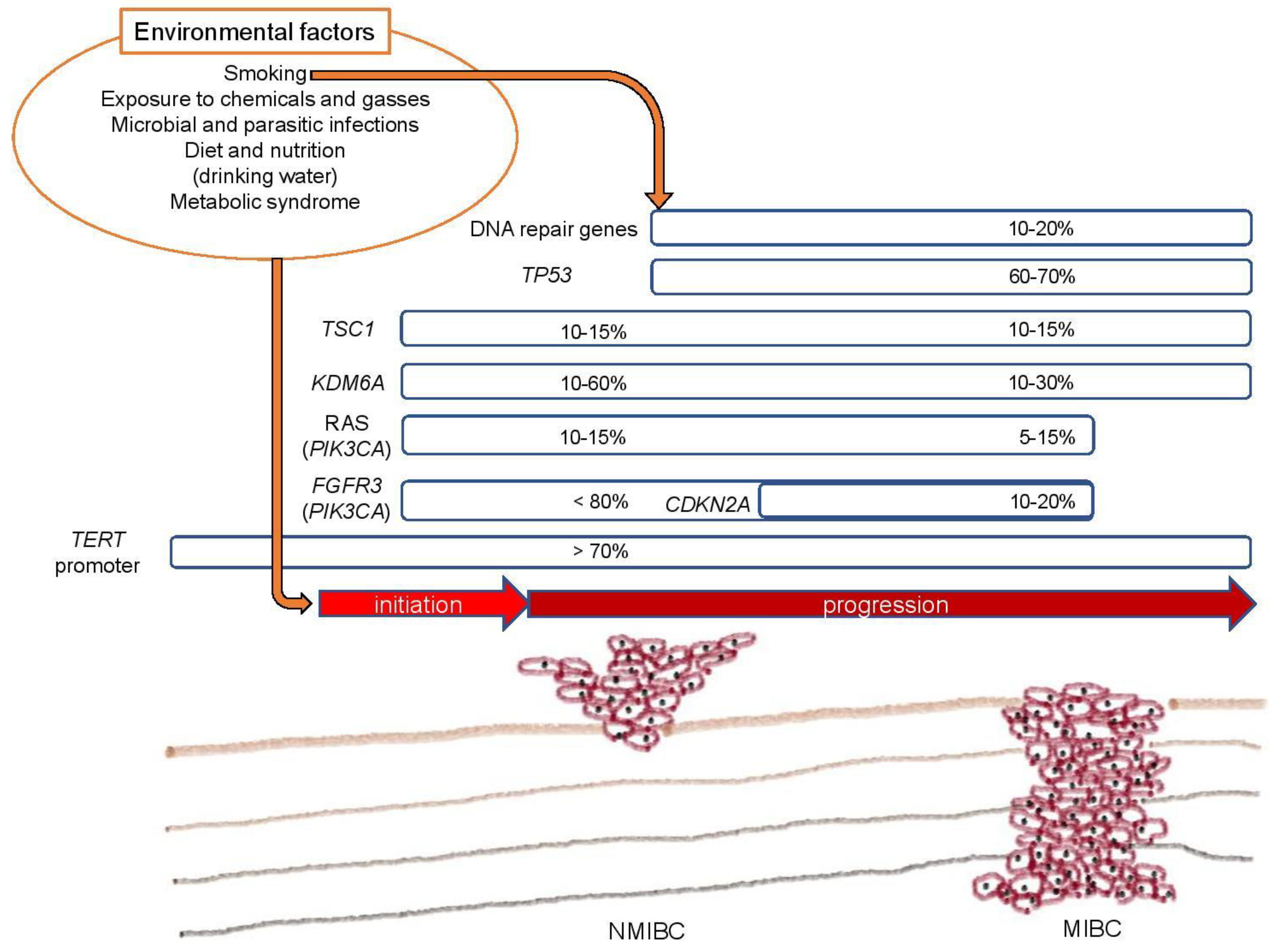 pathology outlines sarcomatoid mesothelioma