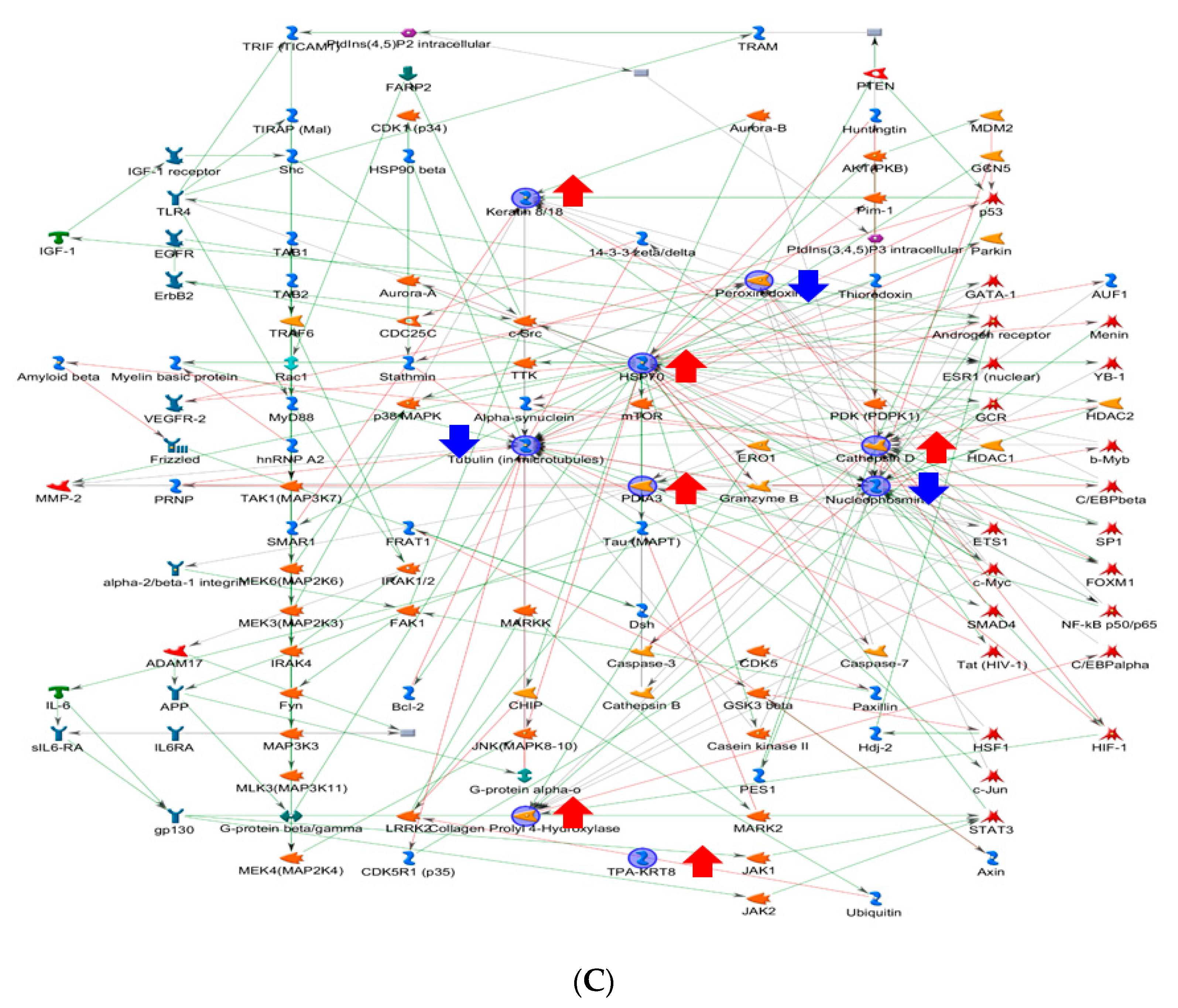 Ijms 21 06077 g002b Ijms 21 06077 g002b