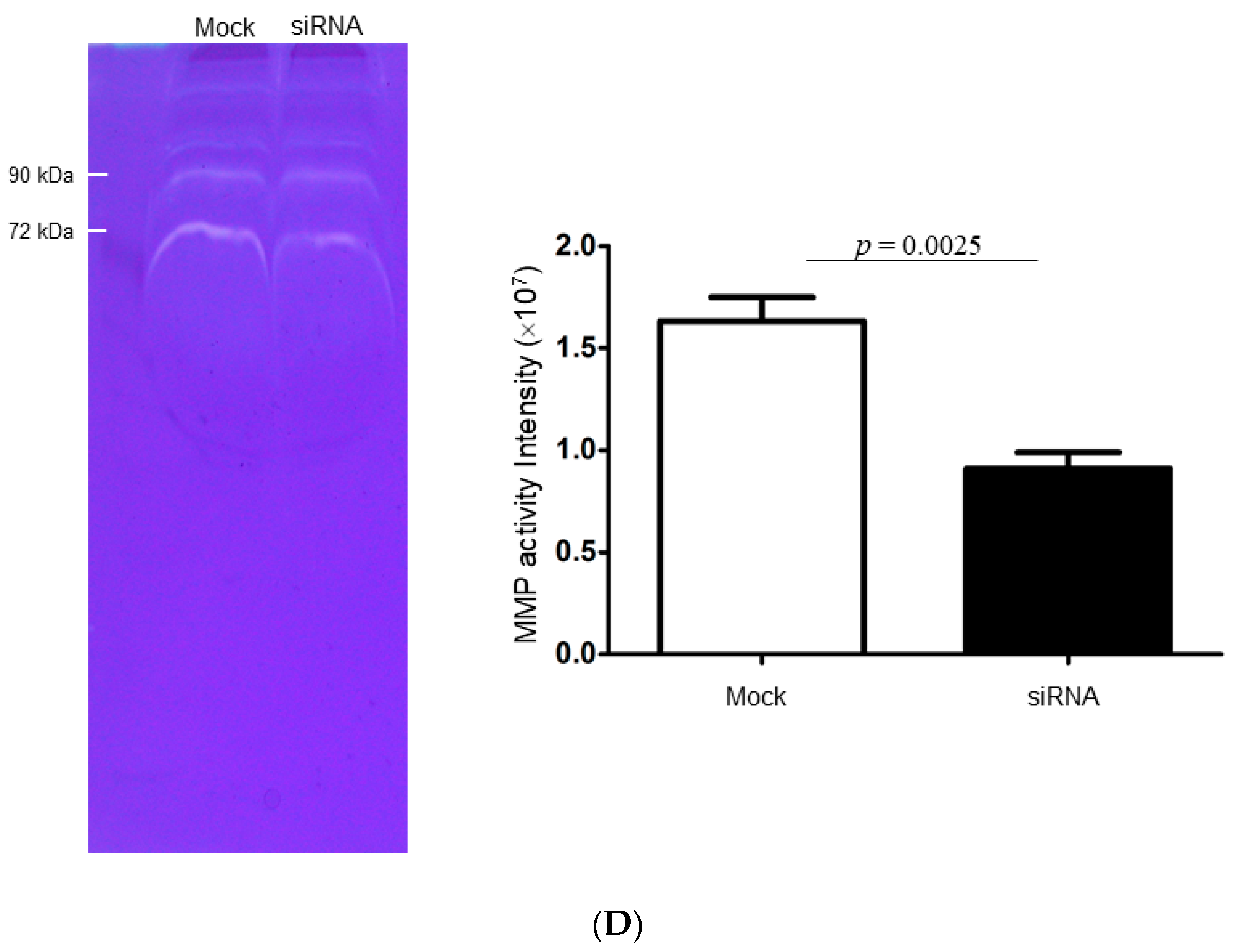 Ijms 21 06077 g004b Ijms 21 06077 g004b