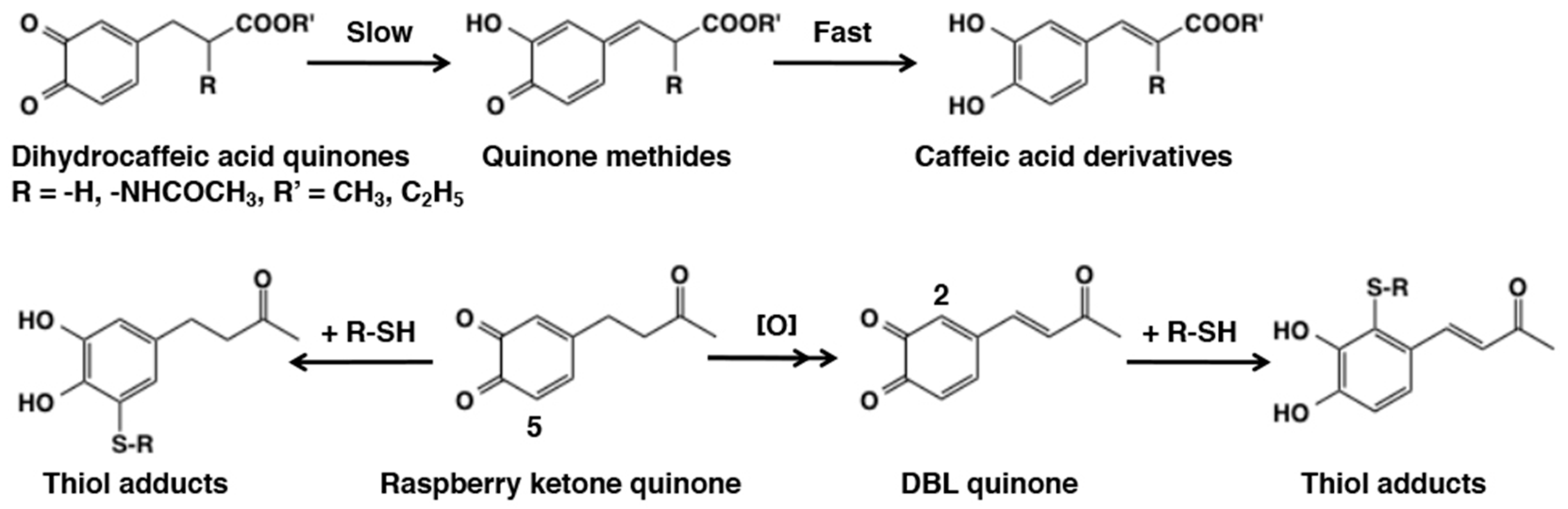 IJMS Free FullText Chemical Reactivities of orthoQuinones