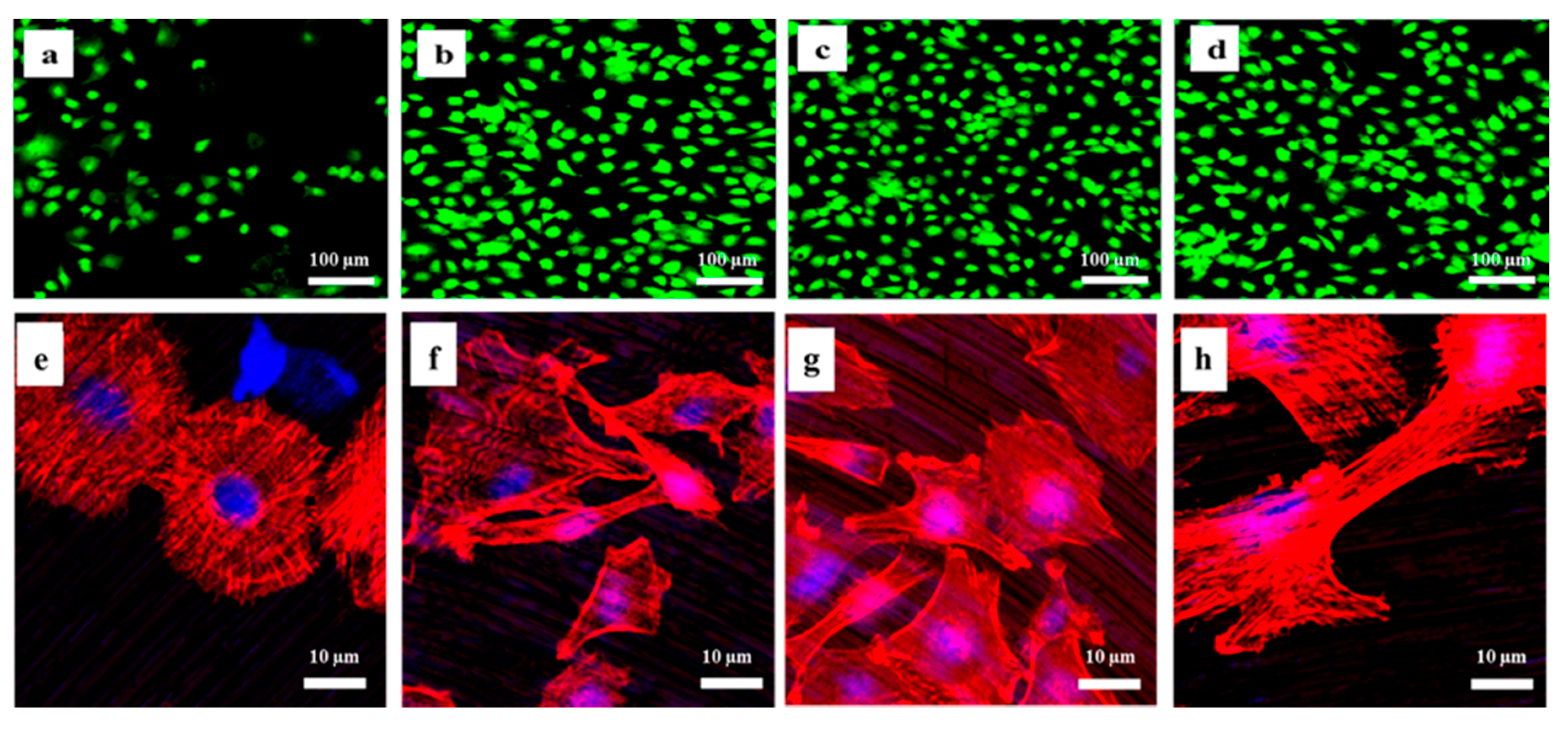 Ijms 21 06085 g004 Ijms 21 06085 g004