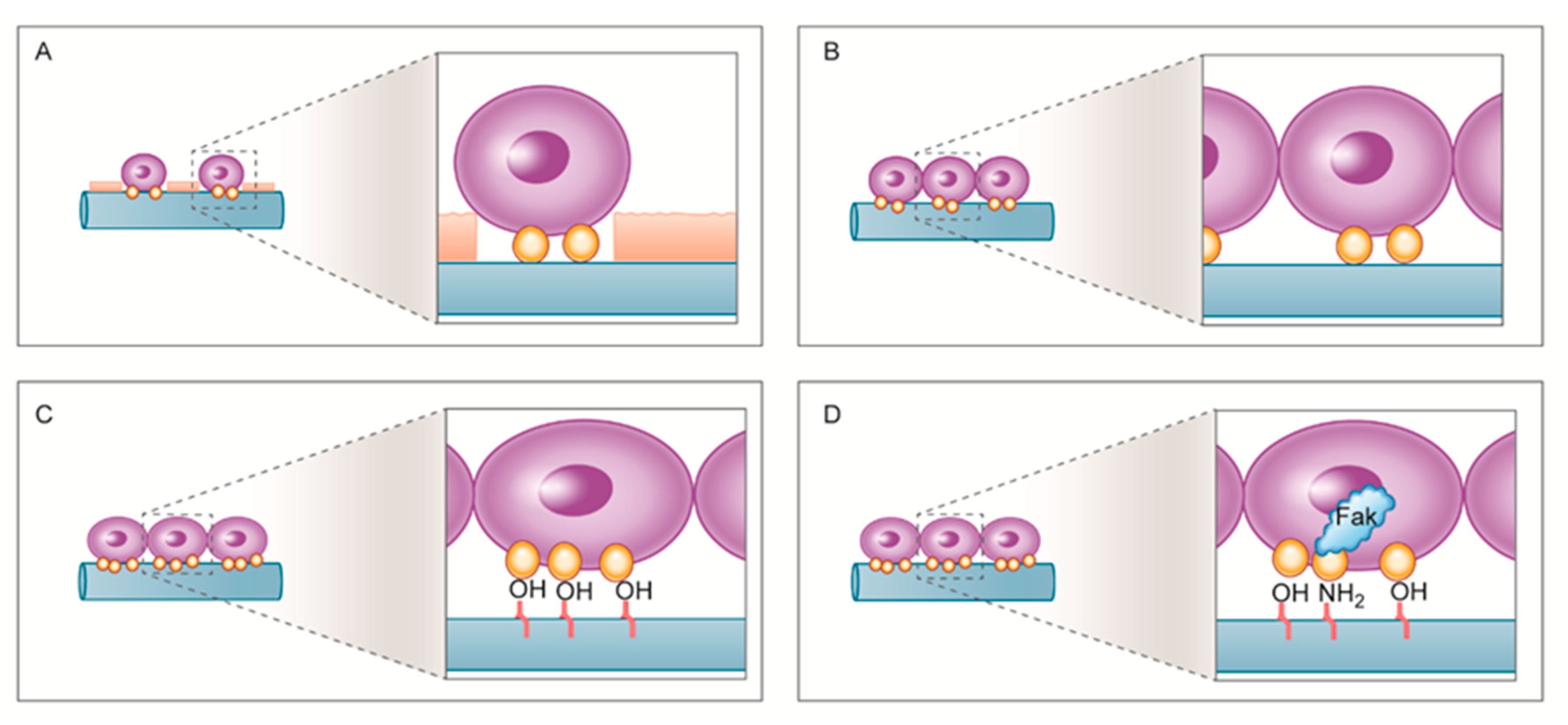 Ijms 21 06085 g008 Ijms 21 06085 g008