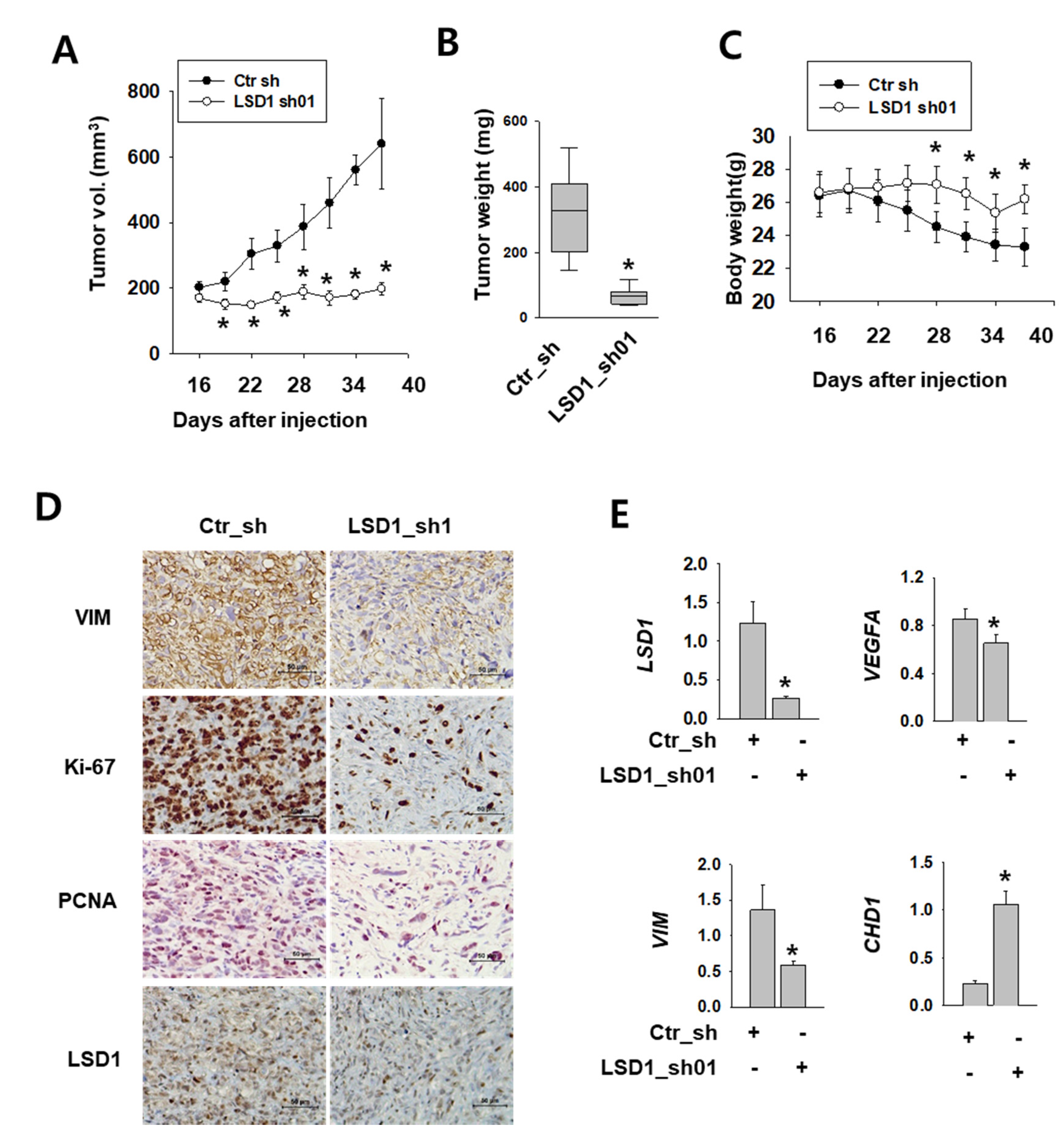 Ijms 21 06089 g006 Ijms 21 06089 g006