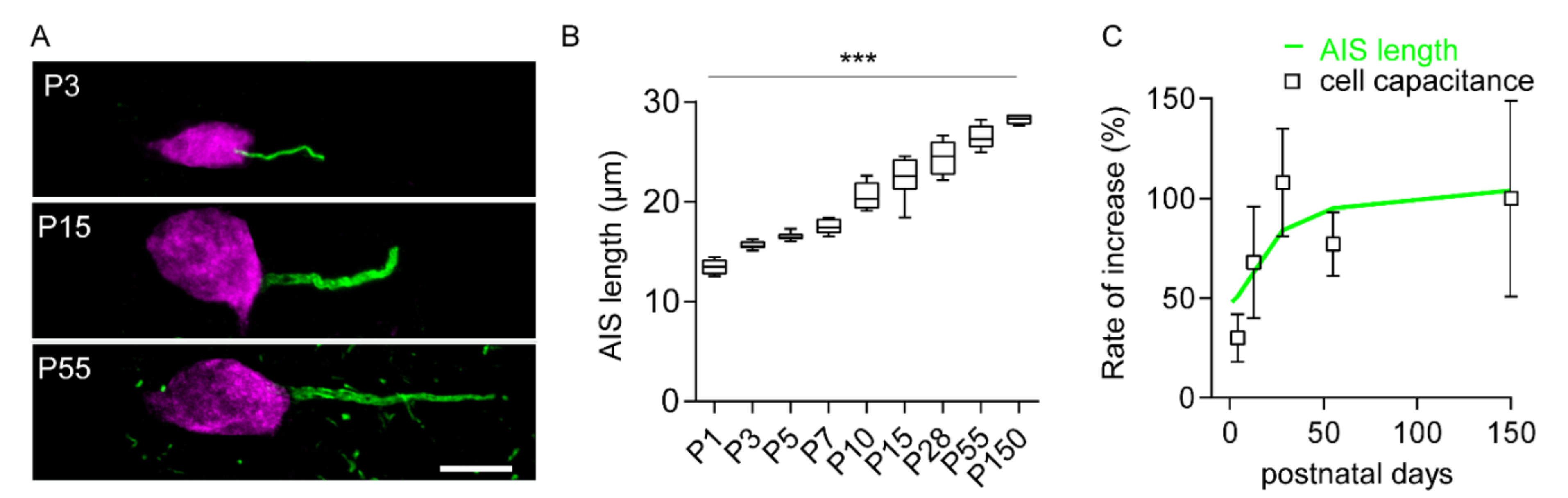 Ijms 21 06101 g002 Ijms 21 06101 g002