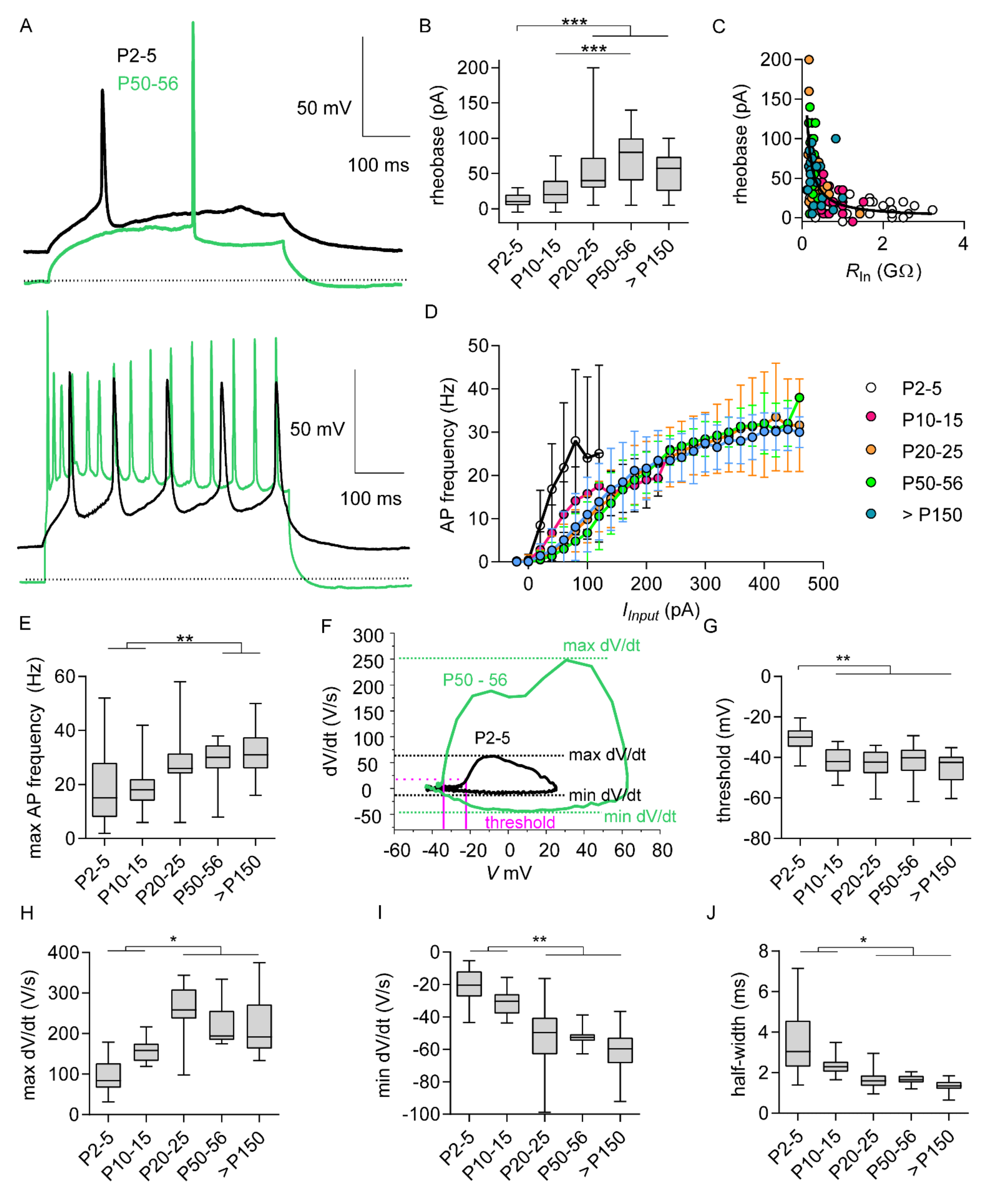 Ijms 21 06101 g003 Ijms 21 06101 g003
