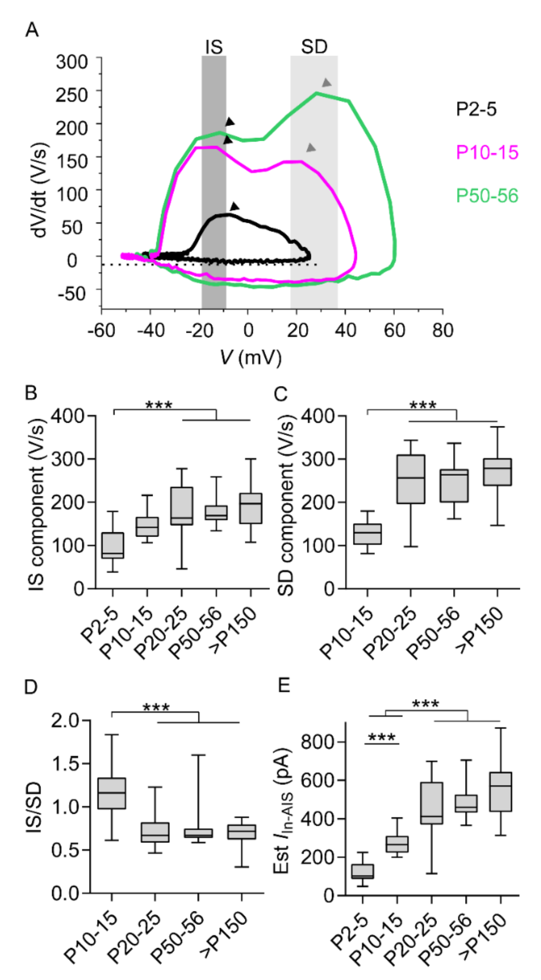 Ijms 21 06101 g004 Ijms 21 06101 g004