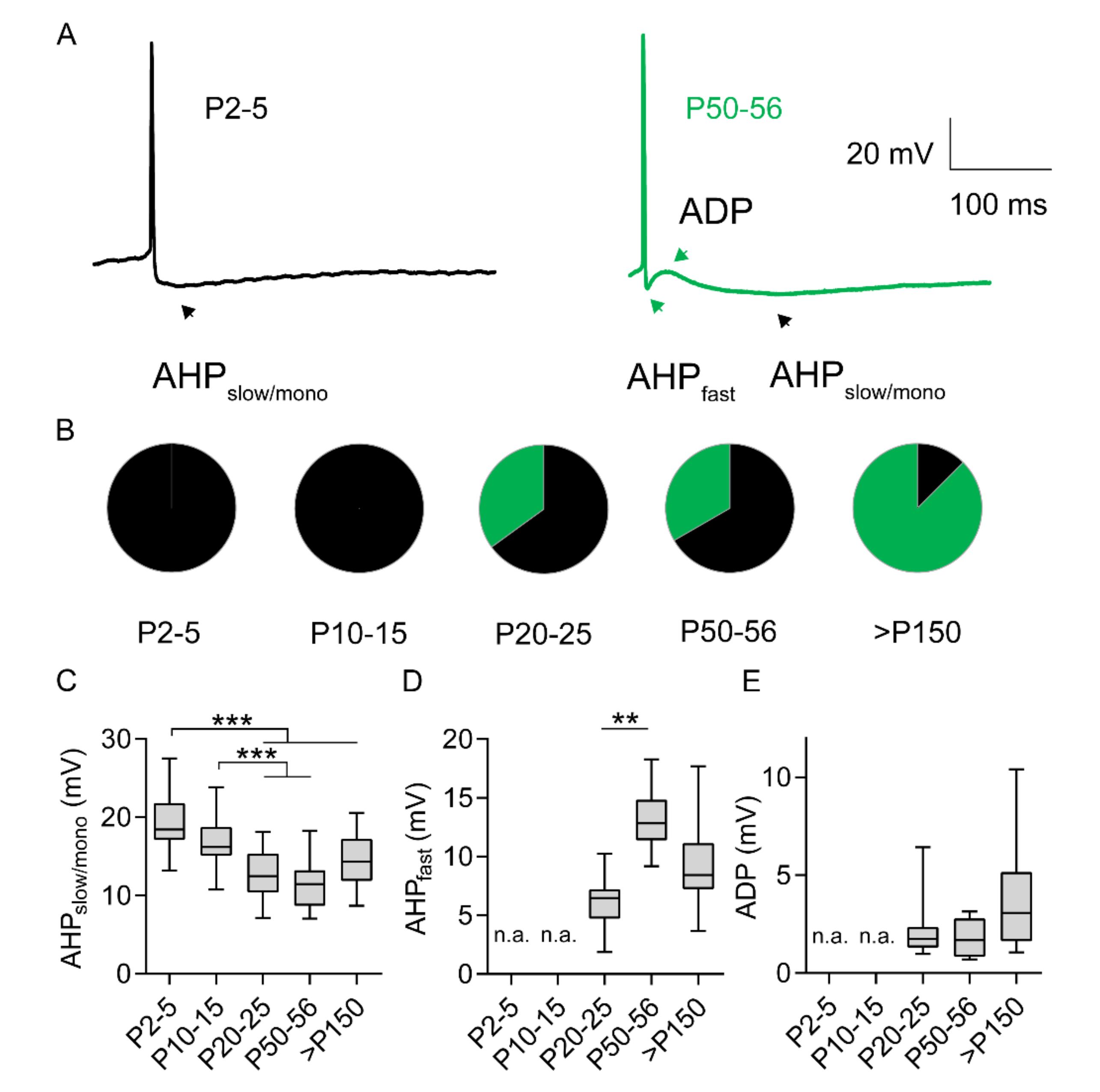 Ijms 21 06101 g005 Ijms 21 06101 g005