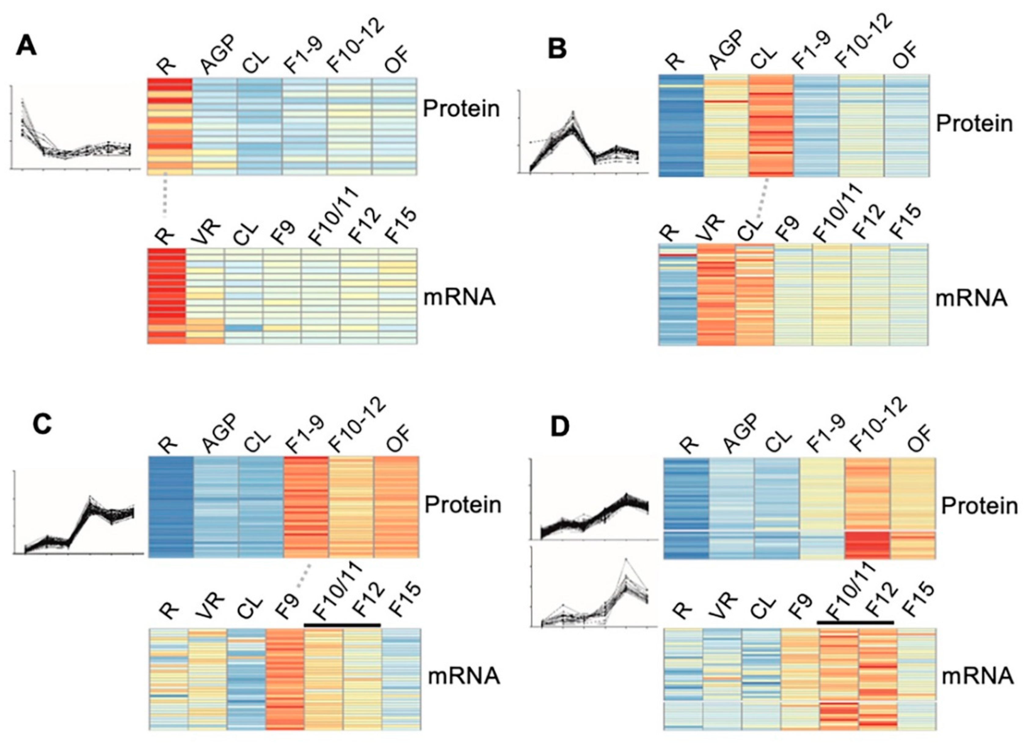 Ijms 21 06116 g005 Ijms 21 06116 g005