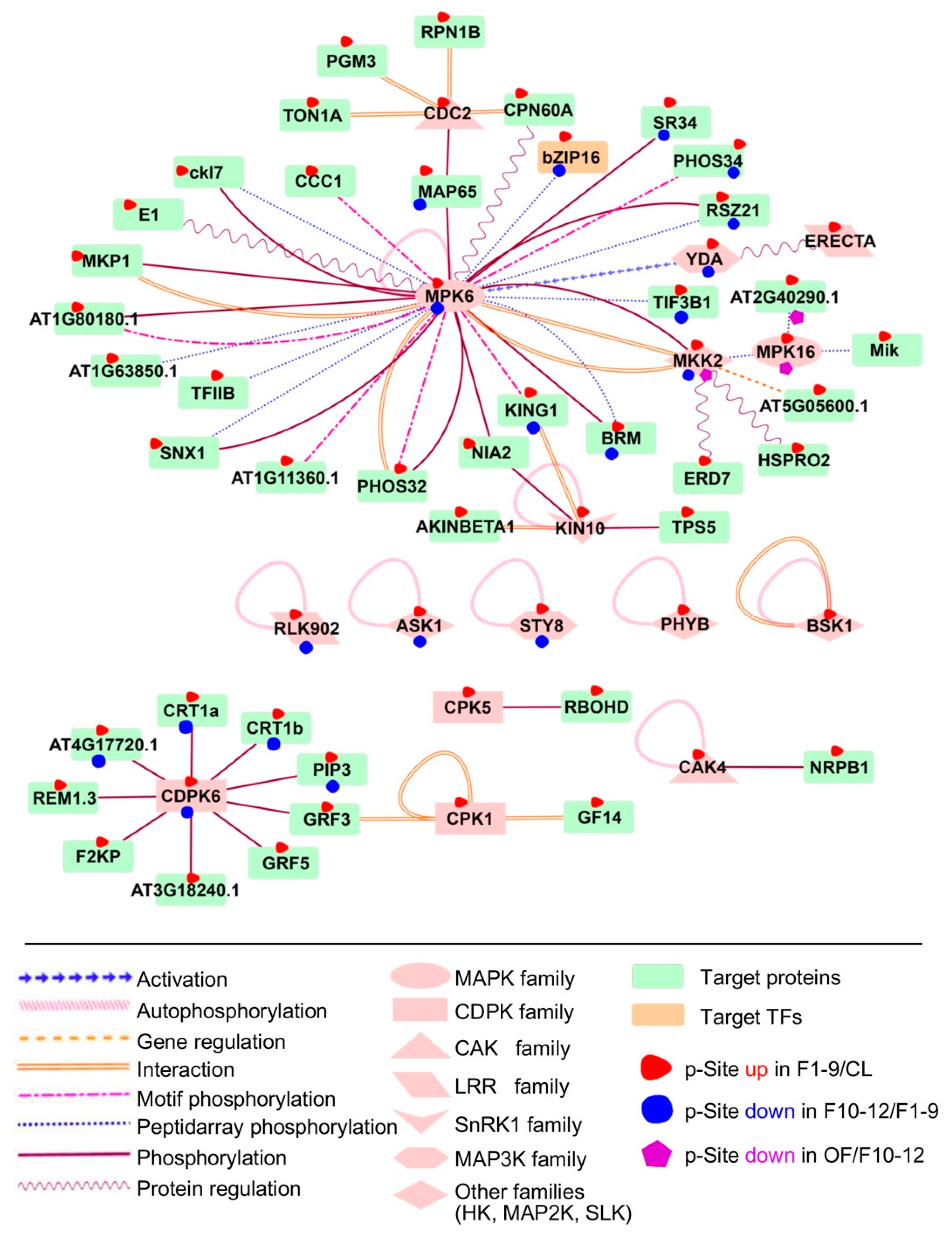 Ijms 21 06116 g009 Ijms 21 06116 g009