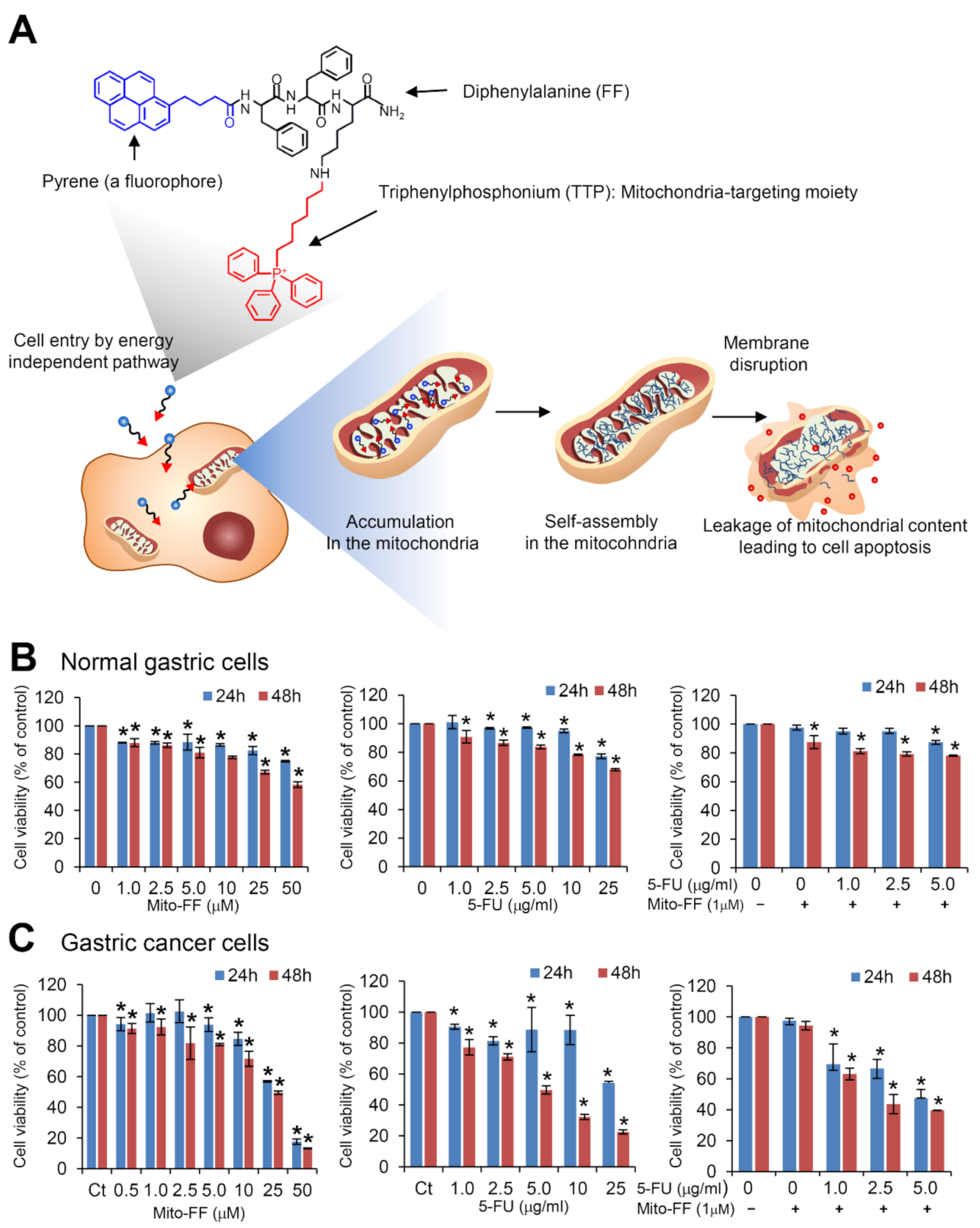 Ijms 21 06126 g001 Ijms 21 06126 g001