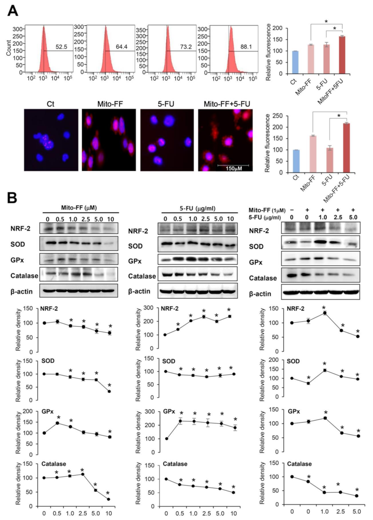 Ijms 21 06126 g003 Ijms 21 06126 g003