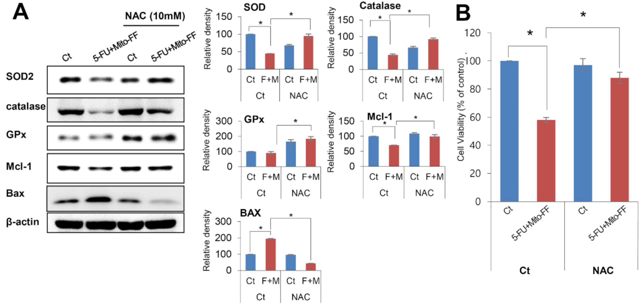 Ijms 21 06126 g006 Ijms 21 06126 g006