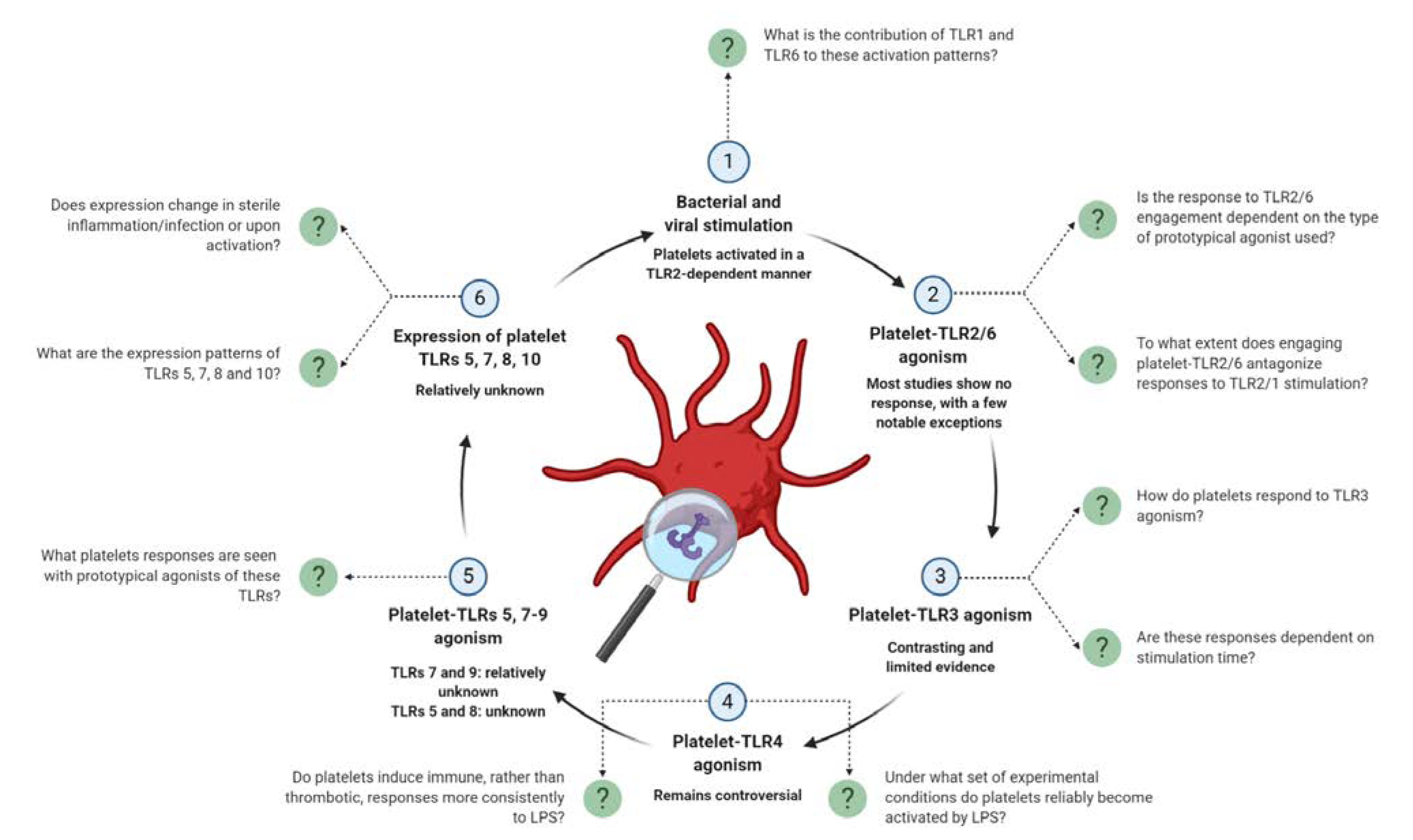 Ijms 21 06150 g003 Ijms 21 06150 g003