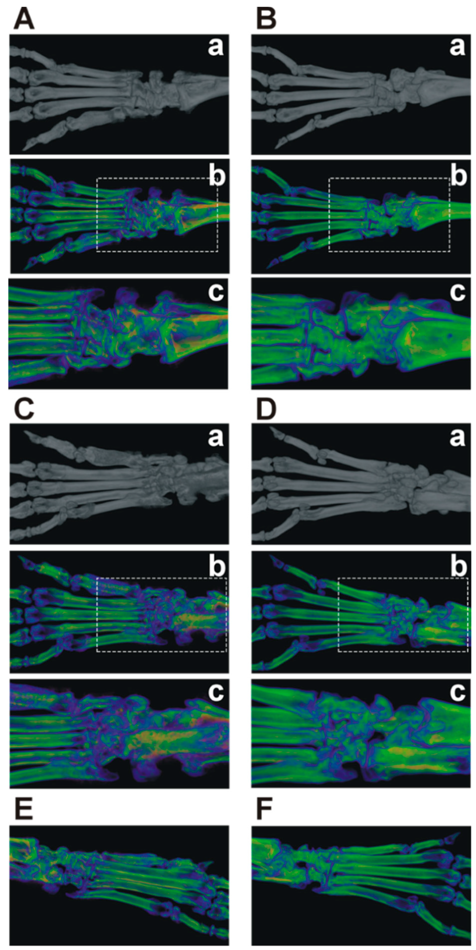 Ijms 21 06162 g002 Ijms 21 06162 g002