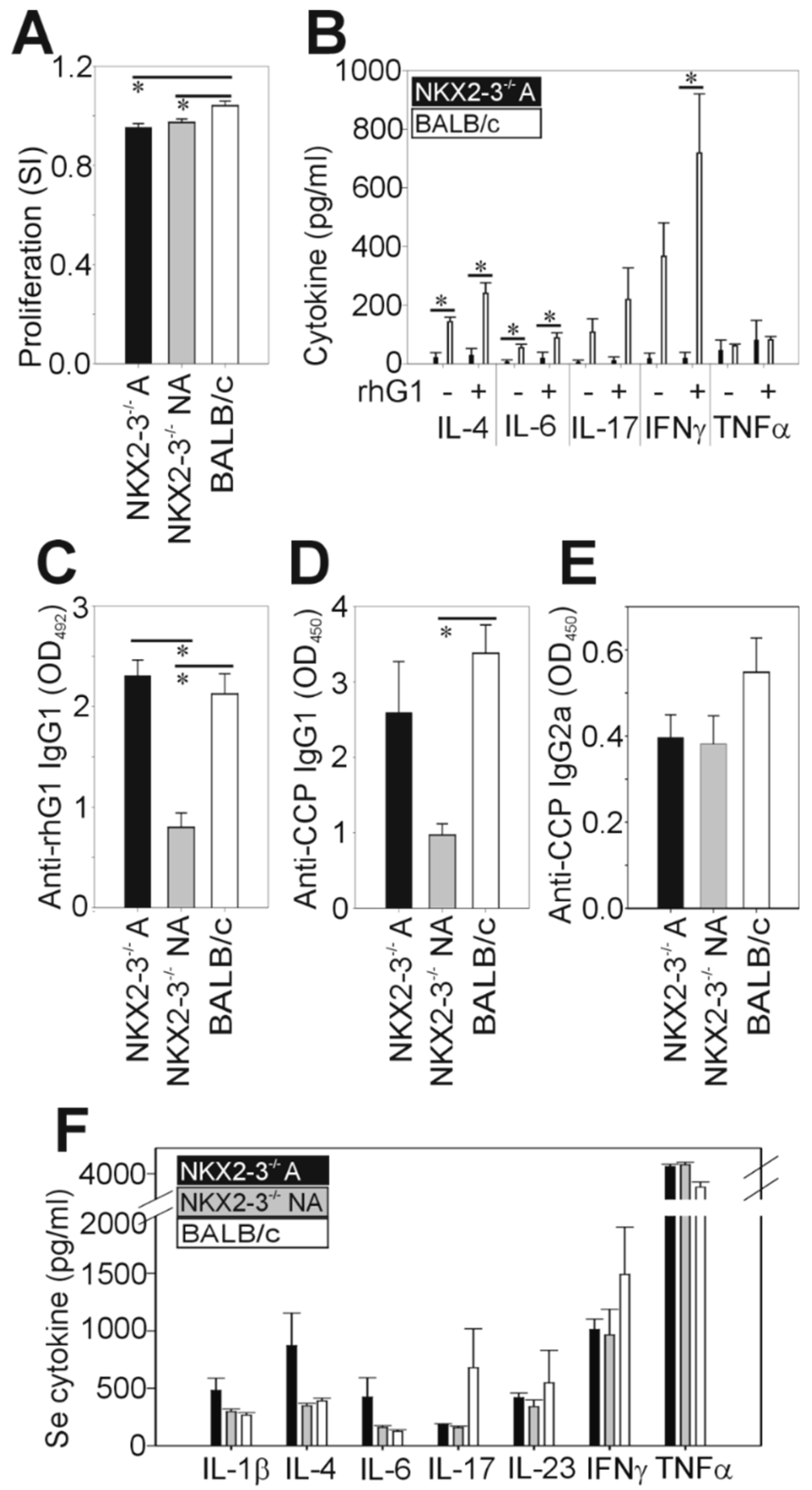 Ijms 21 06162 g003 Ijms 21 06162 g003