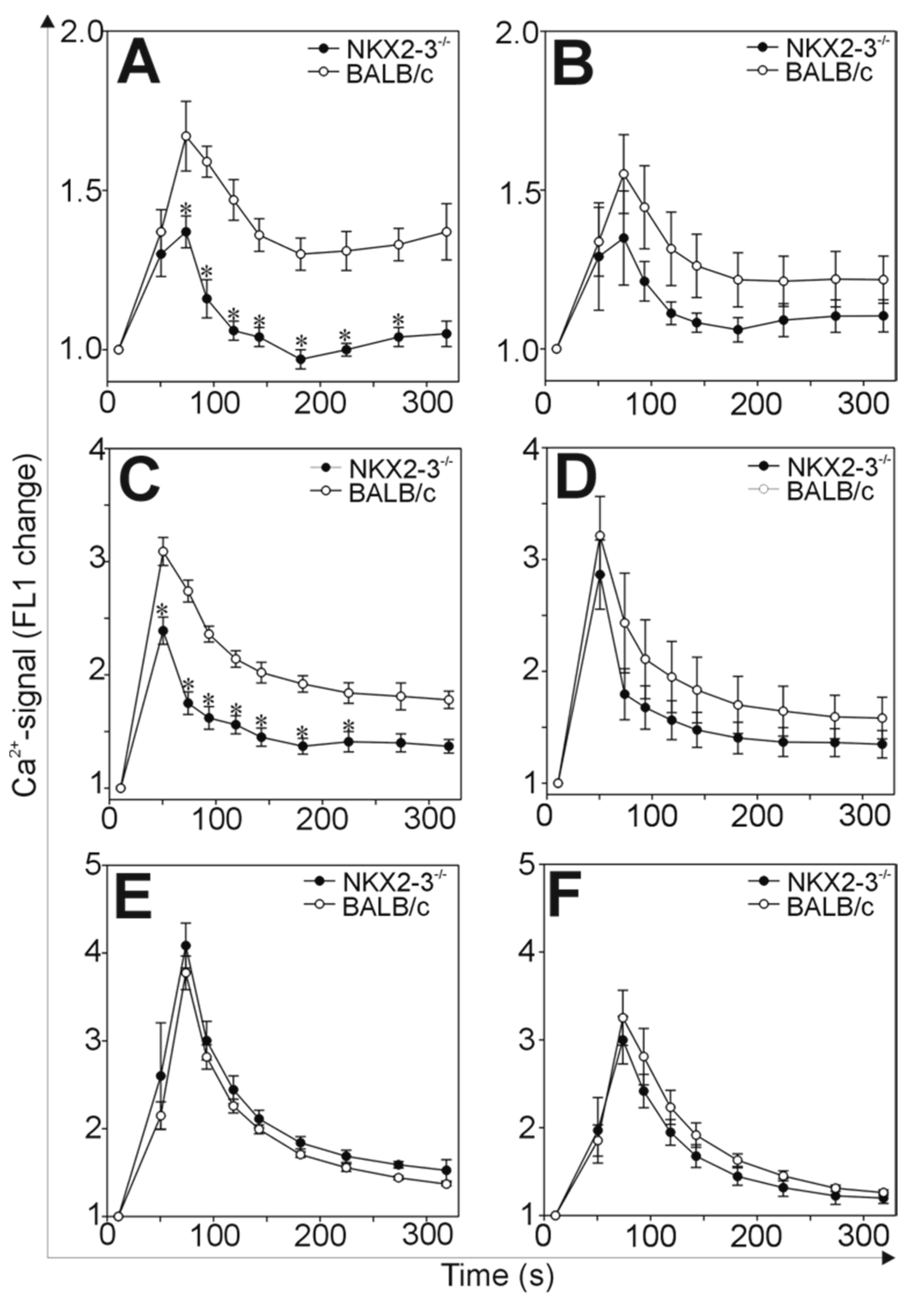 Ijms 21 06162 g004 Ijms 21 06162 g004