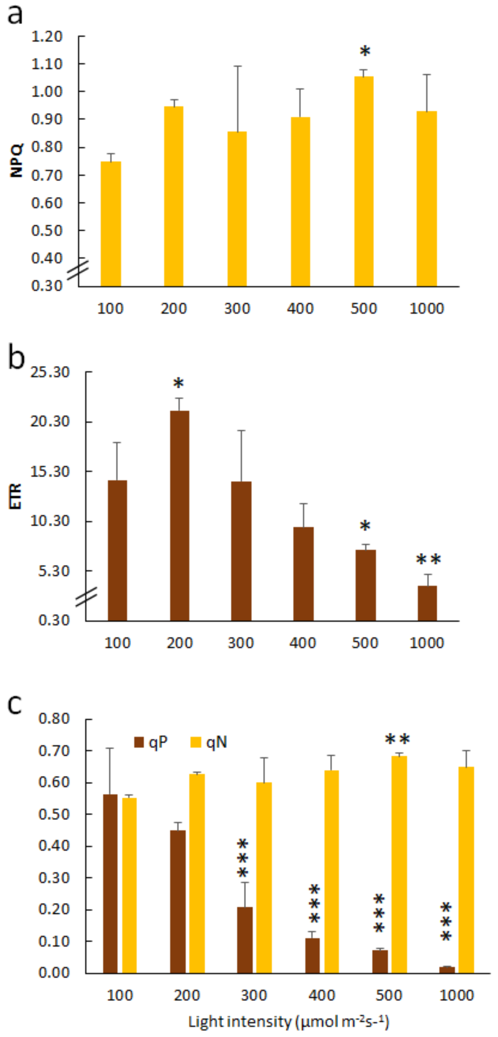 Ijms 21 06167 g001 Ijms 21 06167 g001