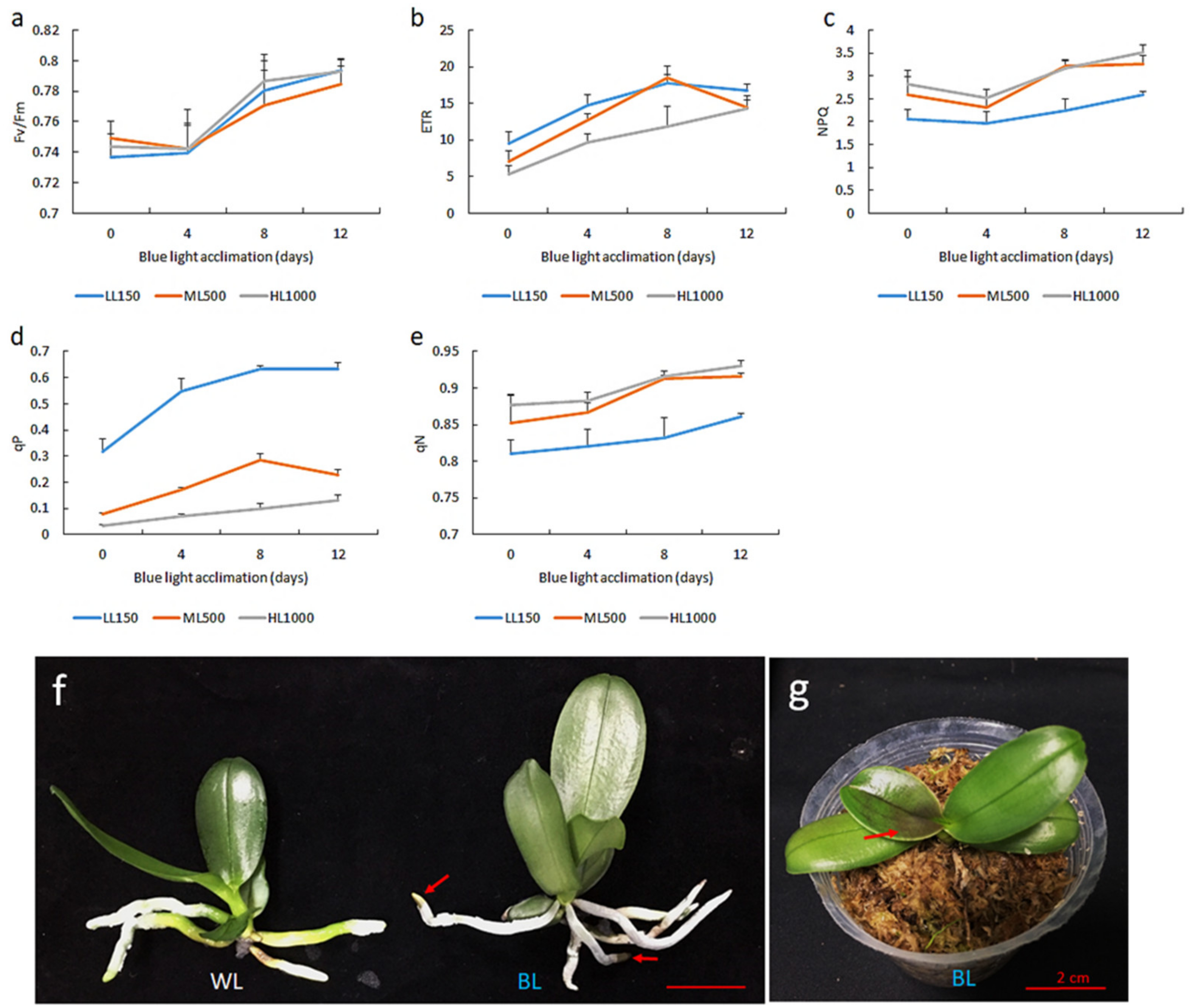 Ijms 21 06167 g002 Ijms 21 06167 g002