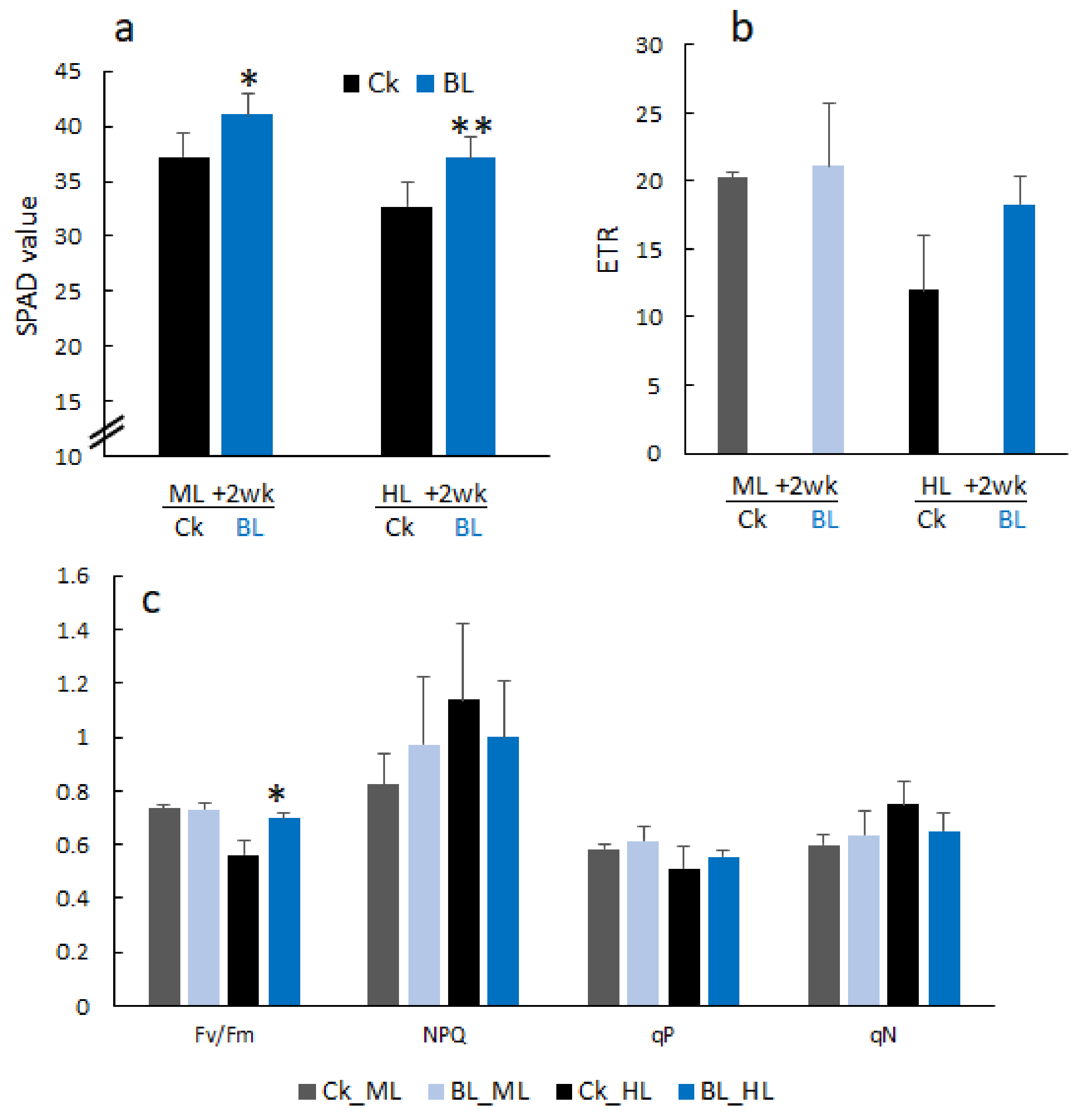 Ijms 21 06167 g003 Ijms 21 06167 g003