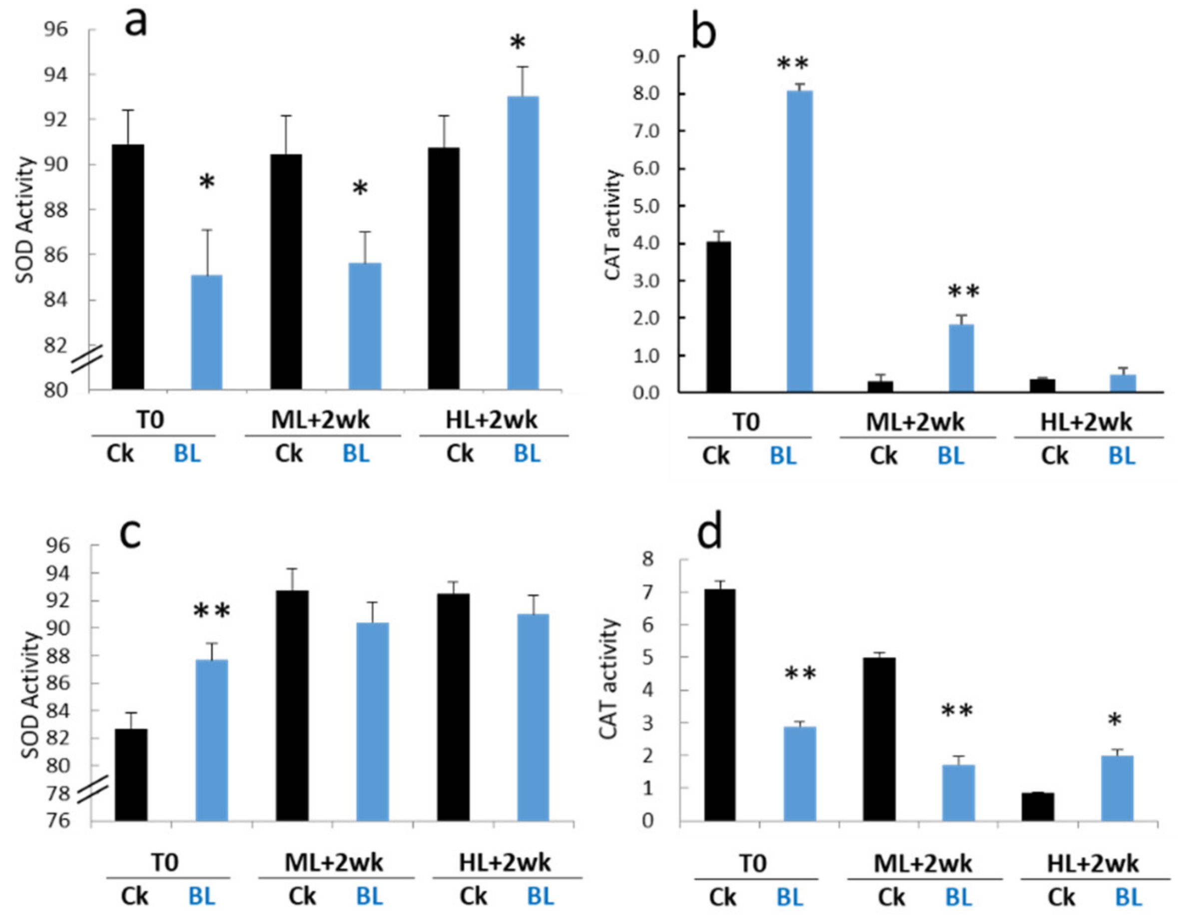Ijms 21 06167 g006 Ijms 21 06167 g006