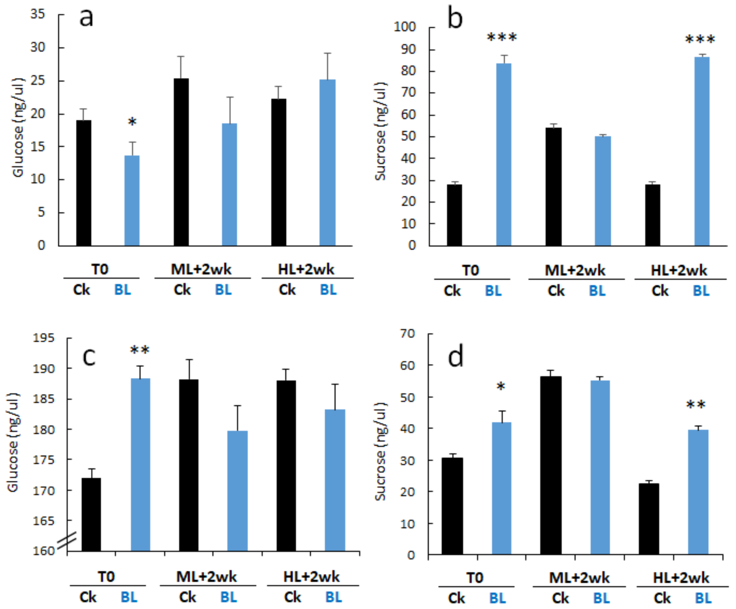 Ijms 21 06167 g007 Ijms 21 06167 g007