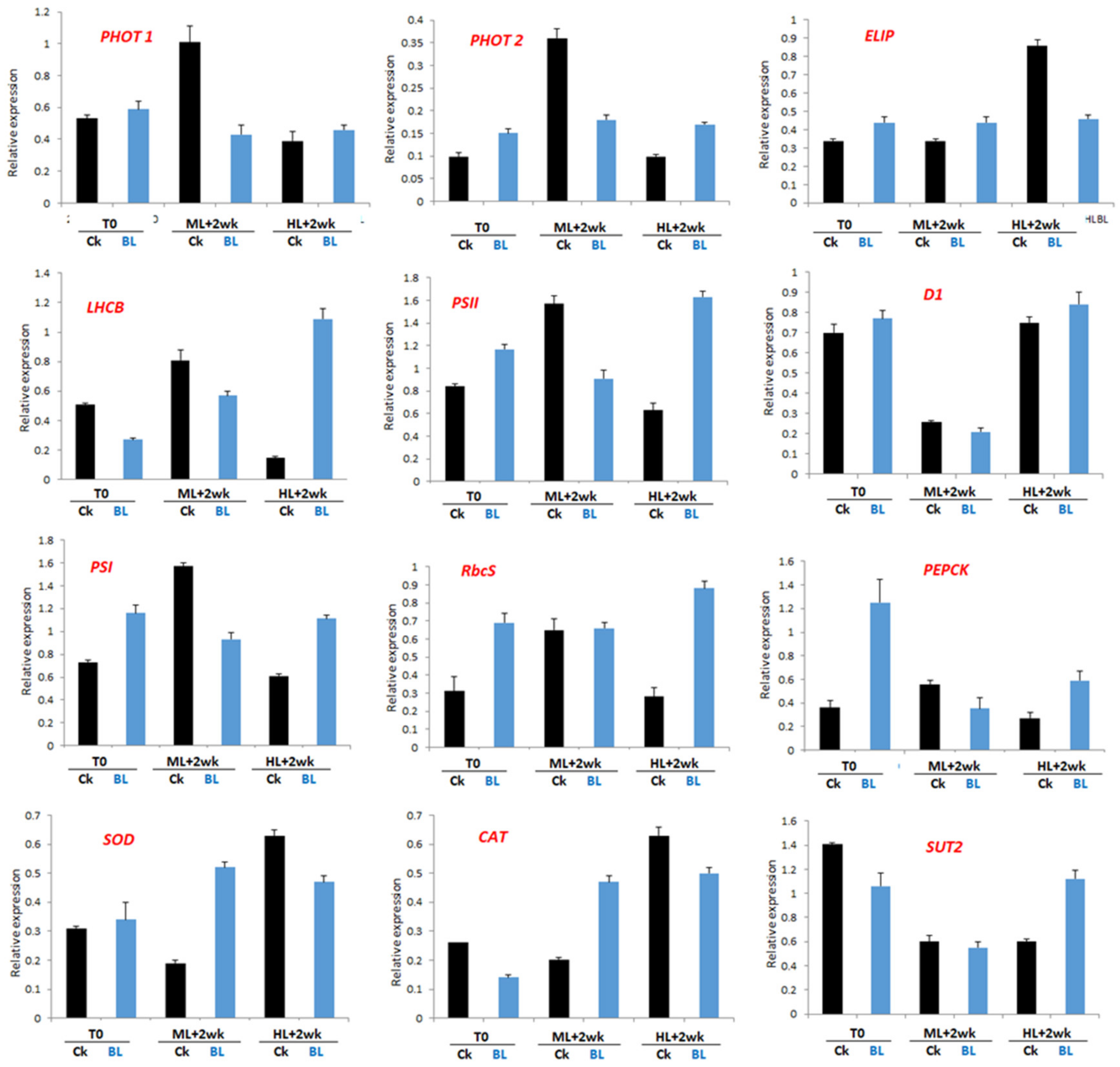 Ijms 21 06167 g009 Ijms 21 06167 g009