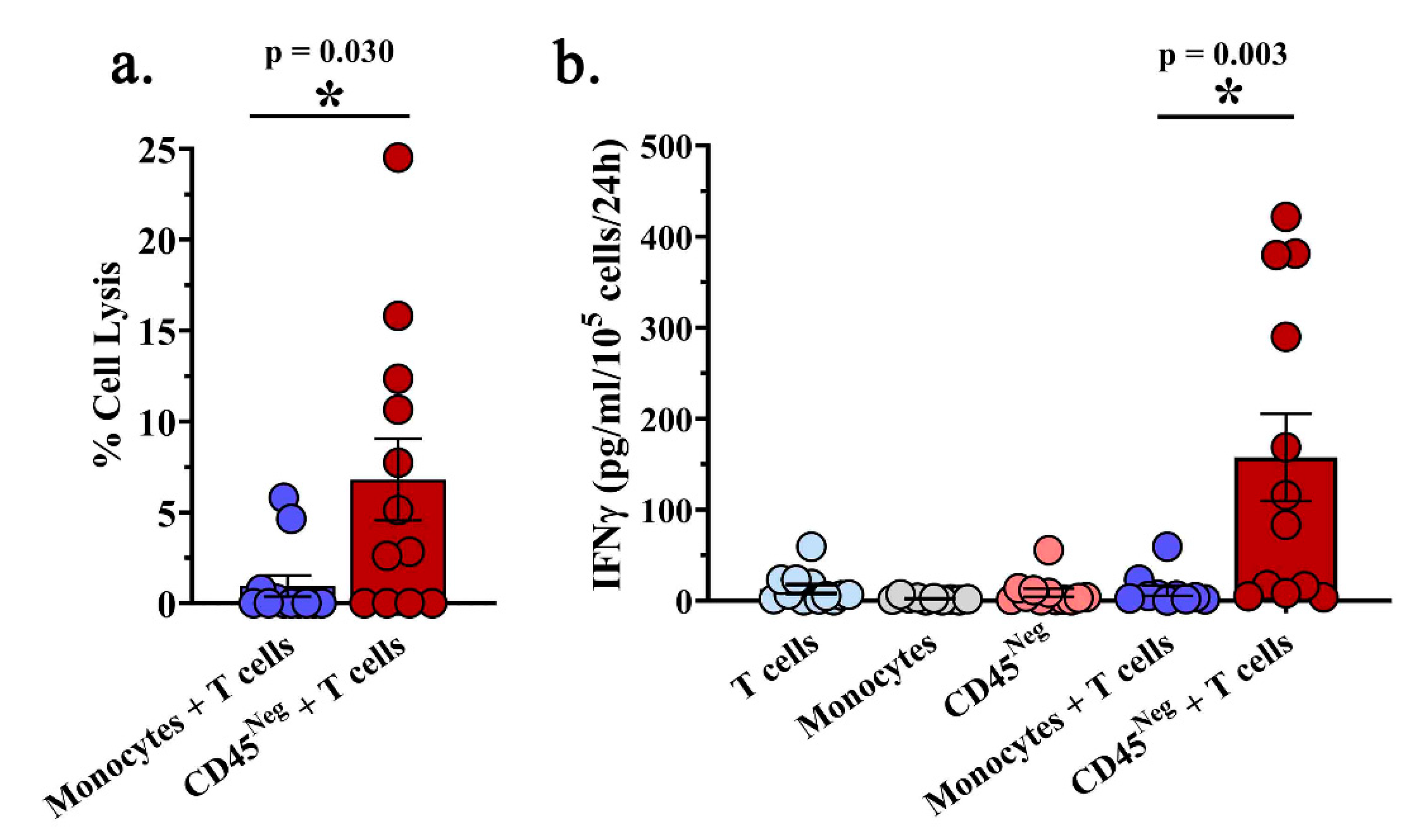 Ijms 21 06178 g002 Ijms 21 06178 g002