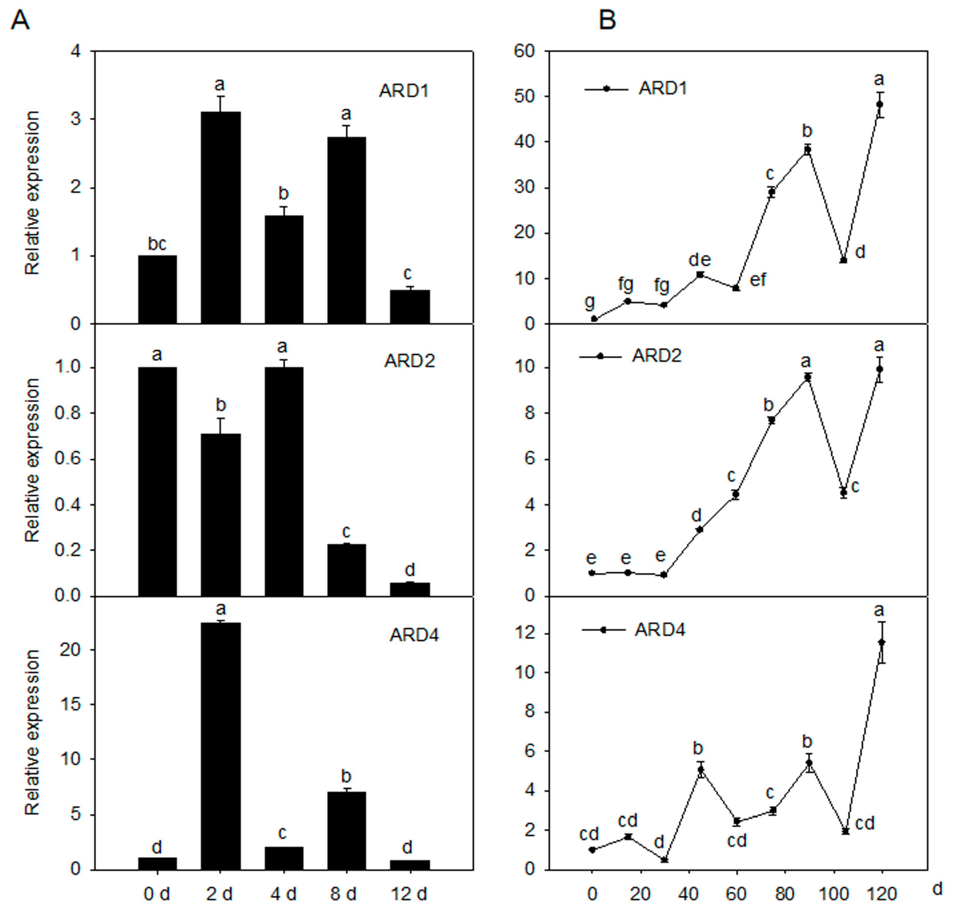 Ijms 21 06182 g002 Ijms 21 06182 g002