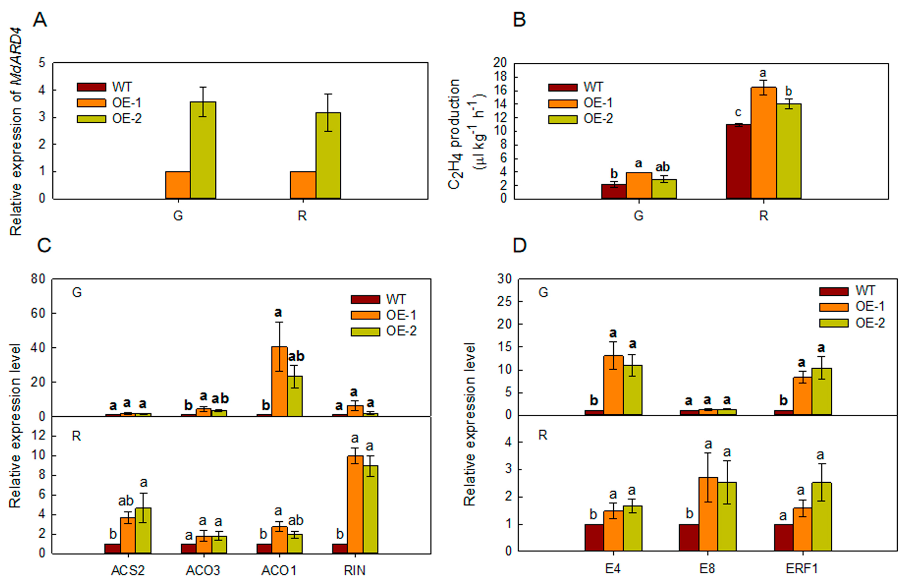 Ijms 21 06182 g004 Ijms 21 06182 g004