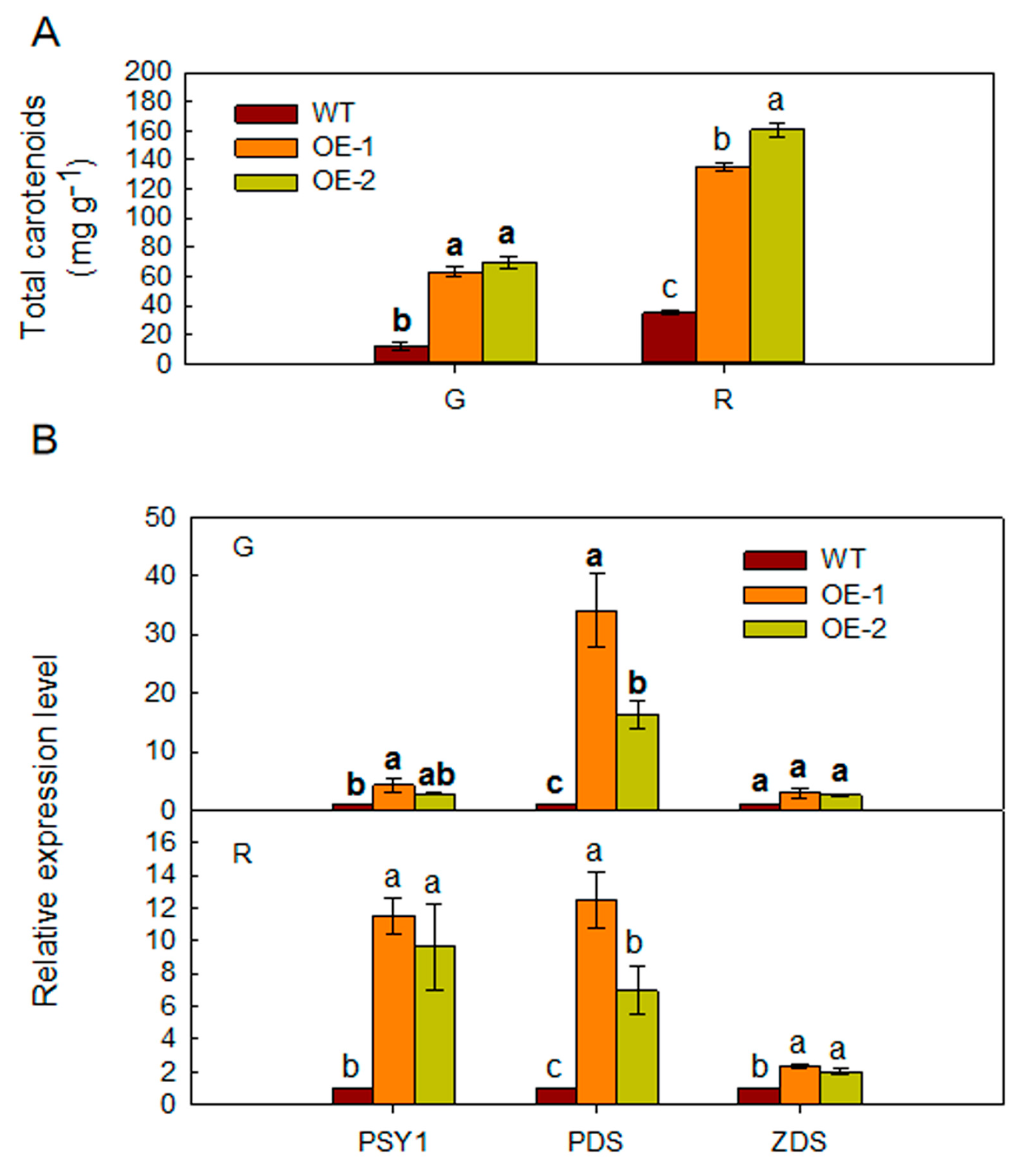 Ijms 21 06182 g005 Ijms 21 06182 g005