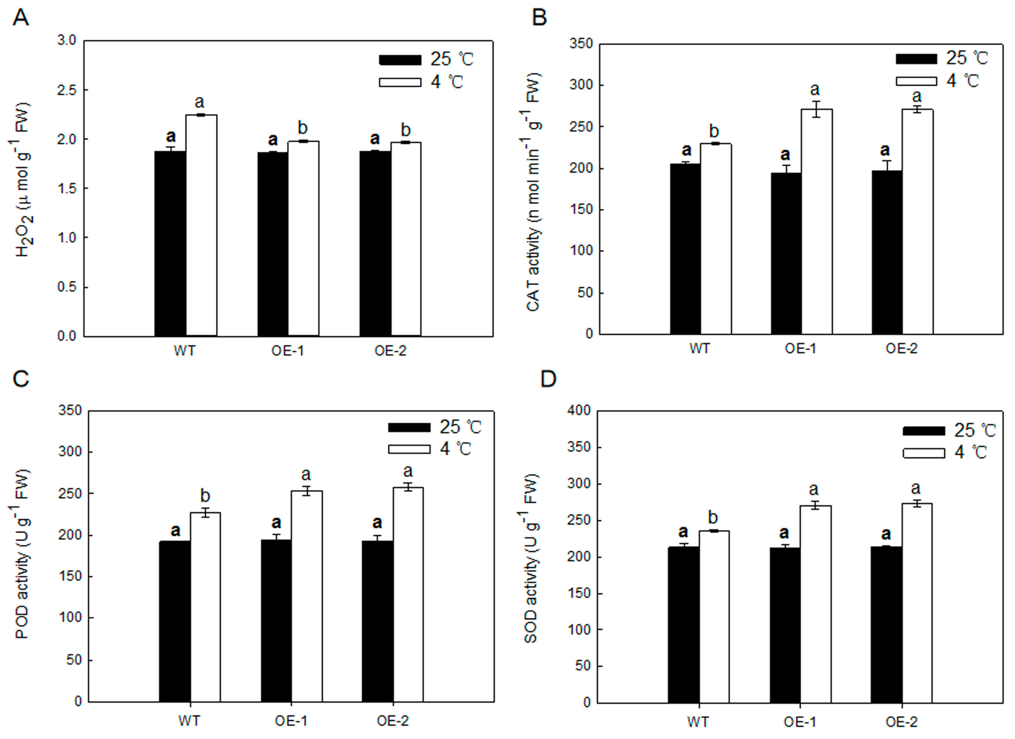 Ijms 21 06182 g007 Ijms 21 06182 g007