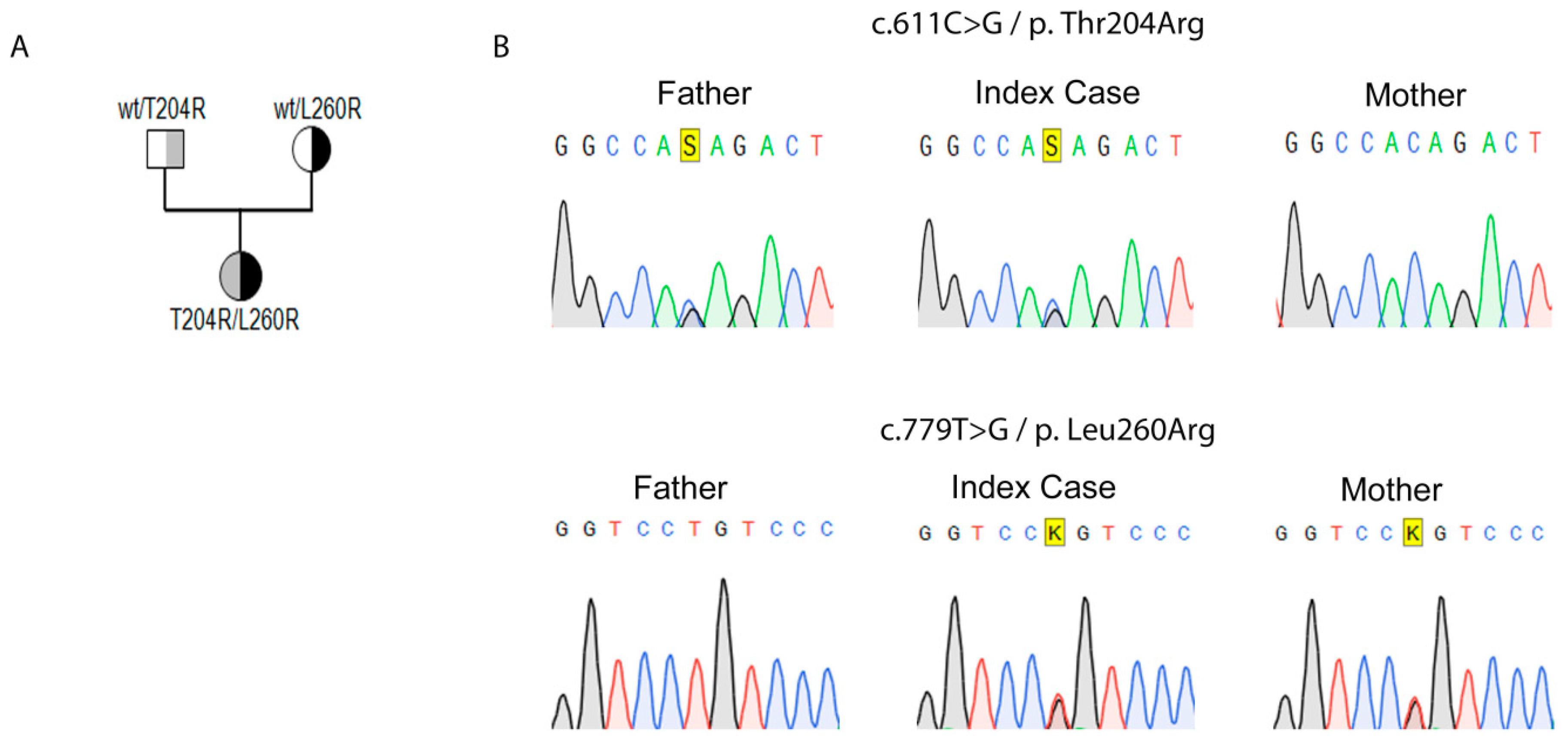 Ijms 21 06185 g001 Ijms 21 06185 g001