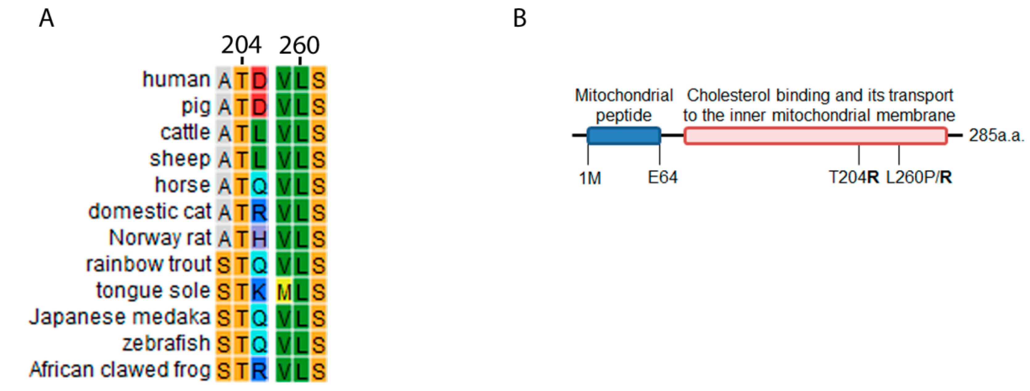 Ijms 21 06185 g002 Ijms 21 06185 g002